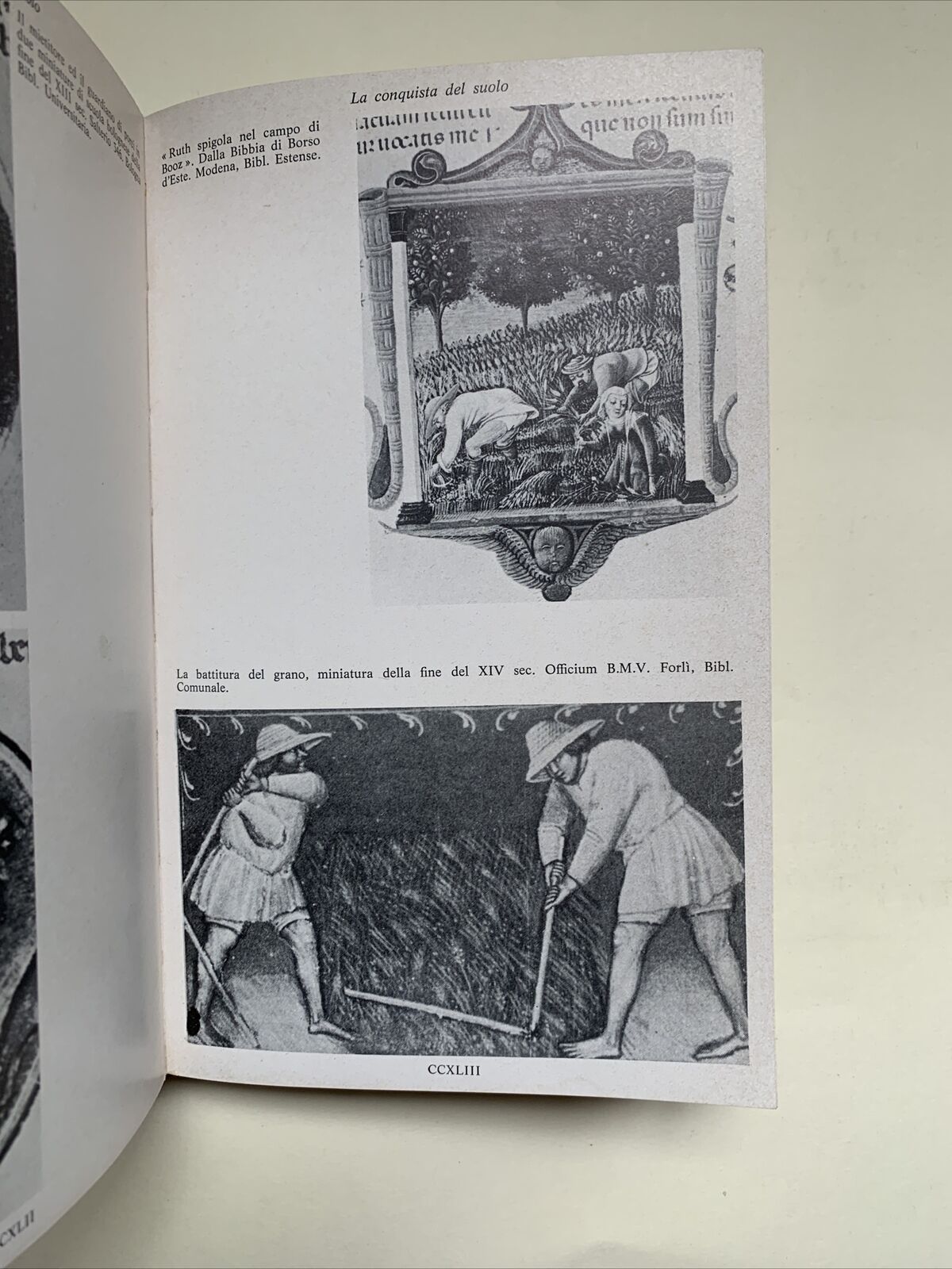 STORIA DELL'EMILIA ROMAGNA, BONONIA UNIVERSITY PRESS - ALDO BERSELLI 1980 #