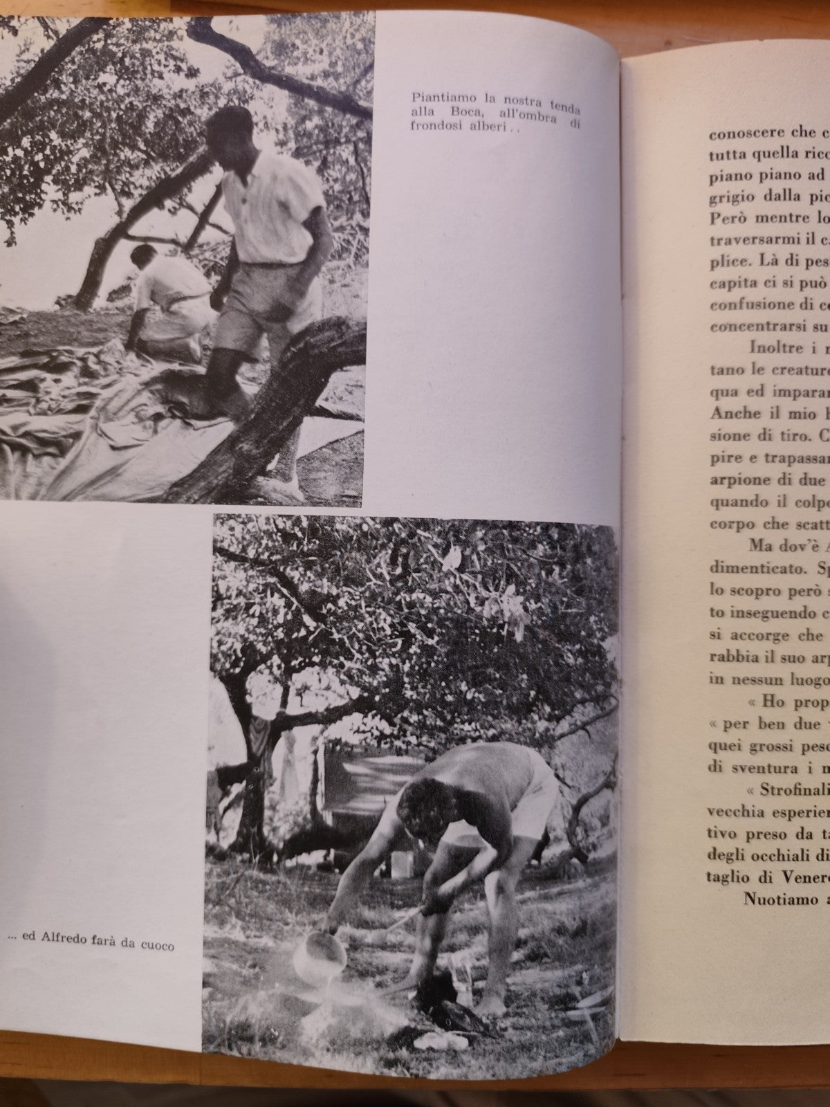 Fra squali e coralli avventure nel mar Caraibico, Hans Hass - Mediterranea 1949