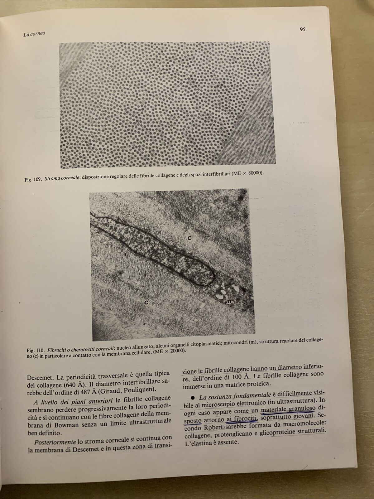 MANUALE DI ANATOMIA E ISTOLOGIA DELL'OCCHIO - SARAUX, LEMASSON, OFFRET. MASSON #