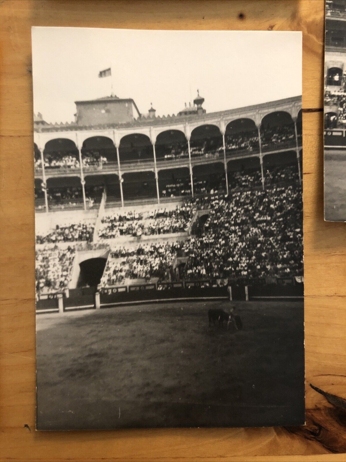 Fotografie MADRID - CORRIDA  5 foto anni '50 originali