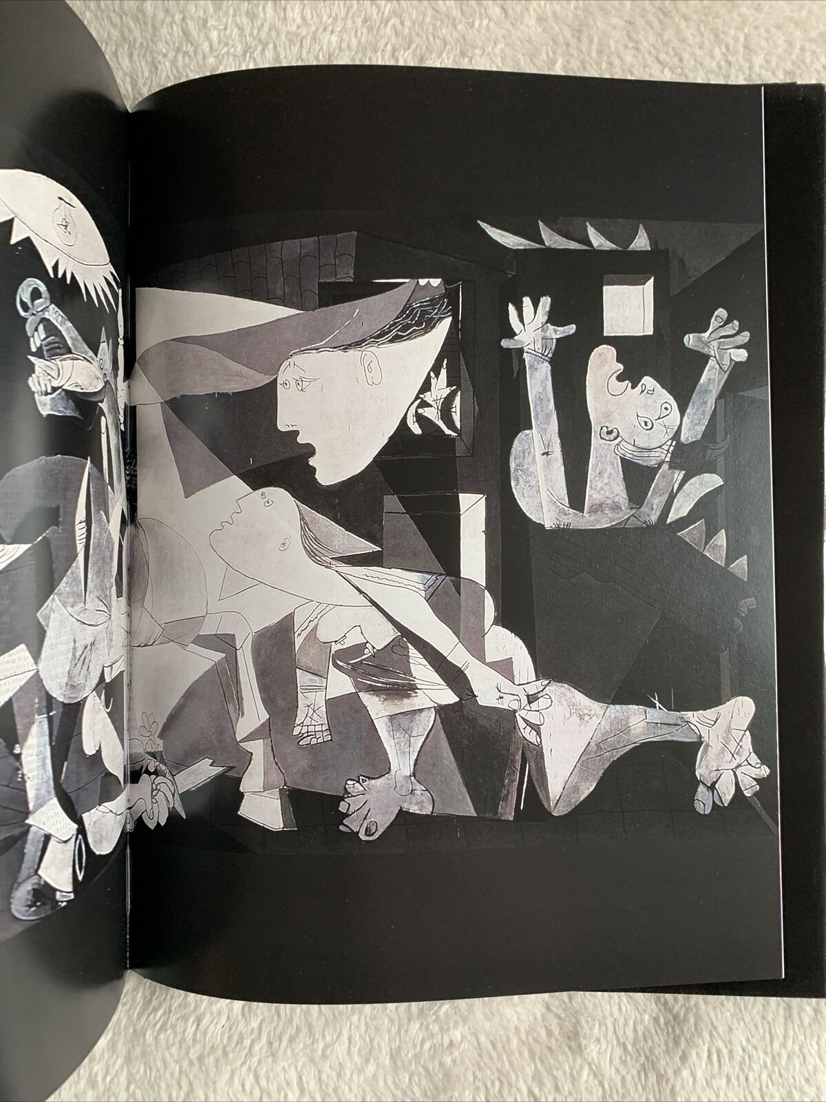 Il lento cammino dei diritti dell'uomo. FMR Marilena Ferrari. Louis Godart 2010