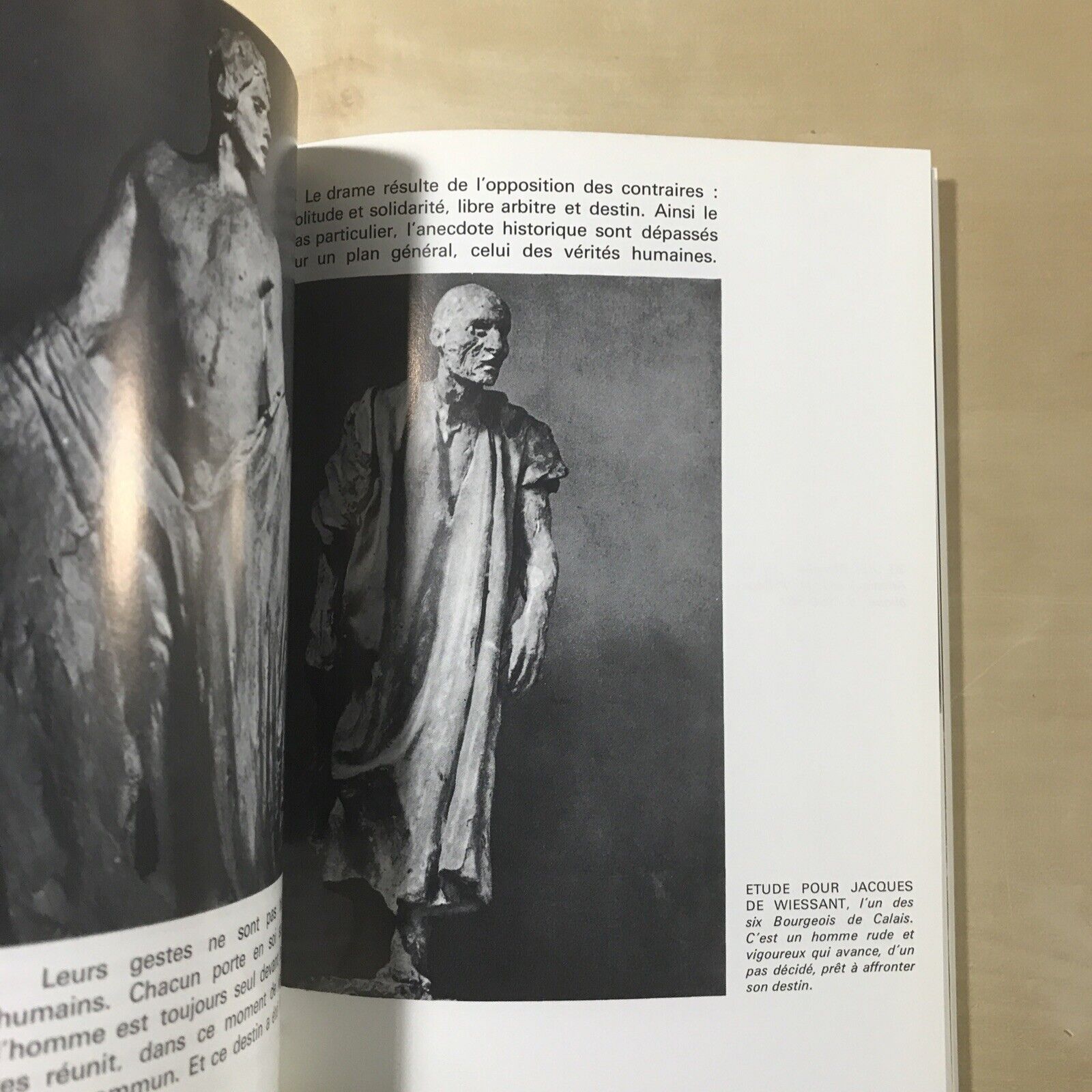 RODIN - Ionel Jianou, C. Goldscheider 1990