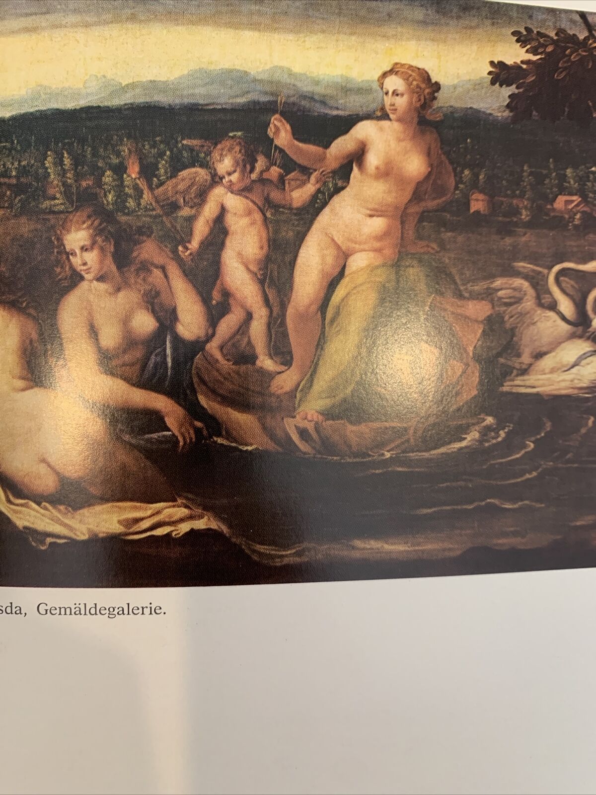 GIROLAMO DA FERRARA DETTO DA CARPI - L'OPERA PITTORICA, AMALIA MEZZETTI 1977#