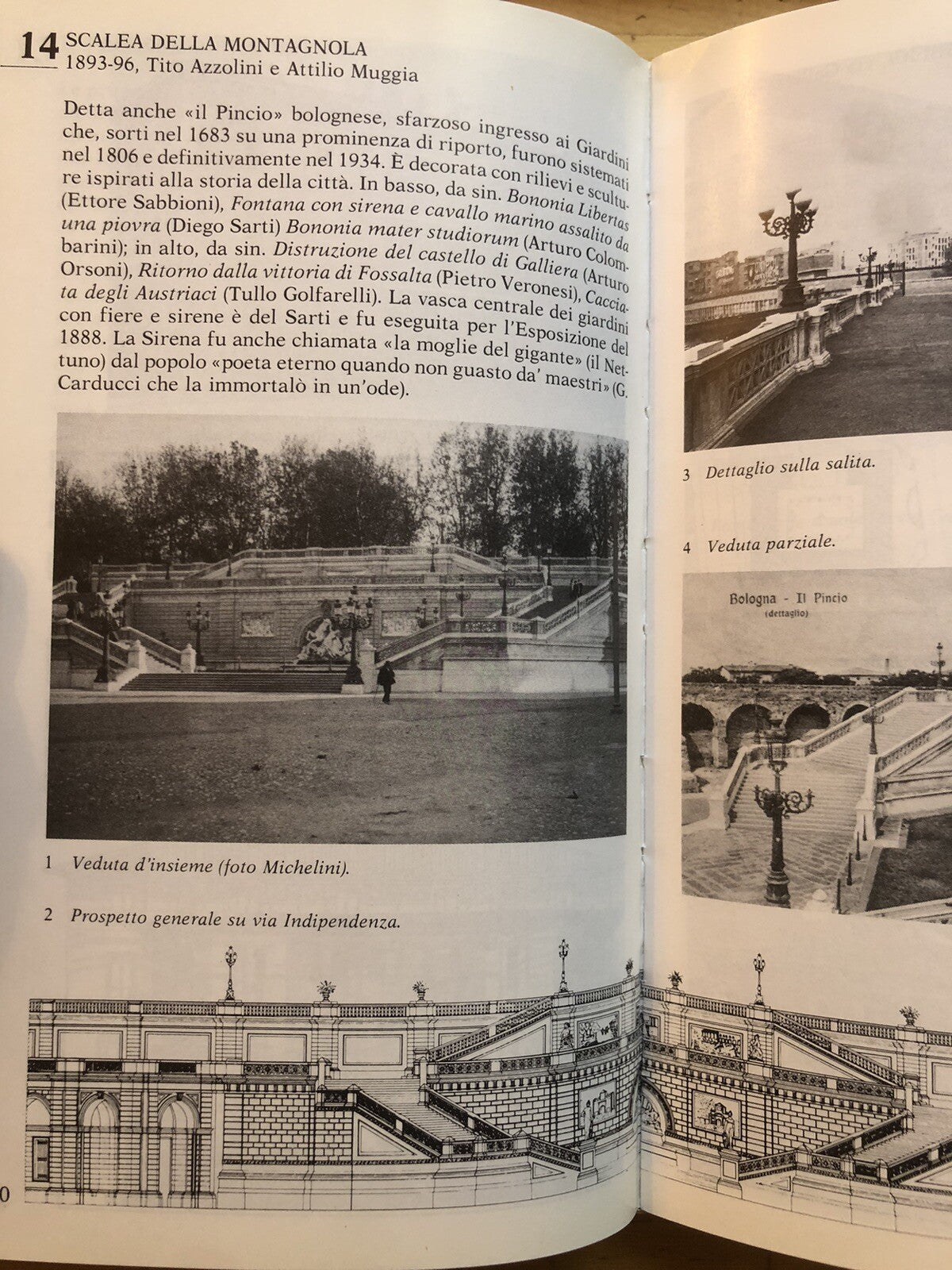 Bologna moderna 1860-1980 G. Bernabei G. Gresleri, Patron 1984