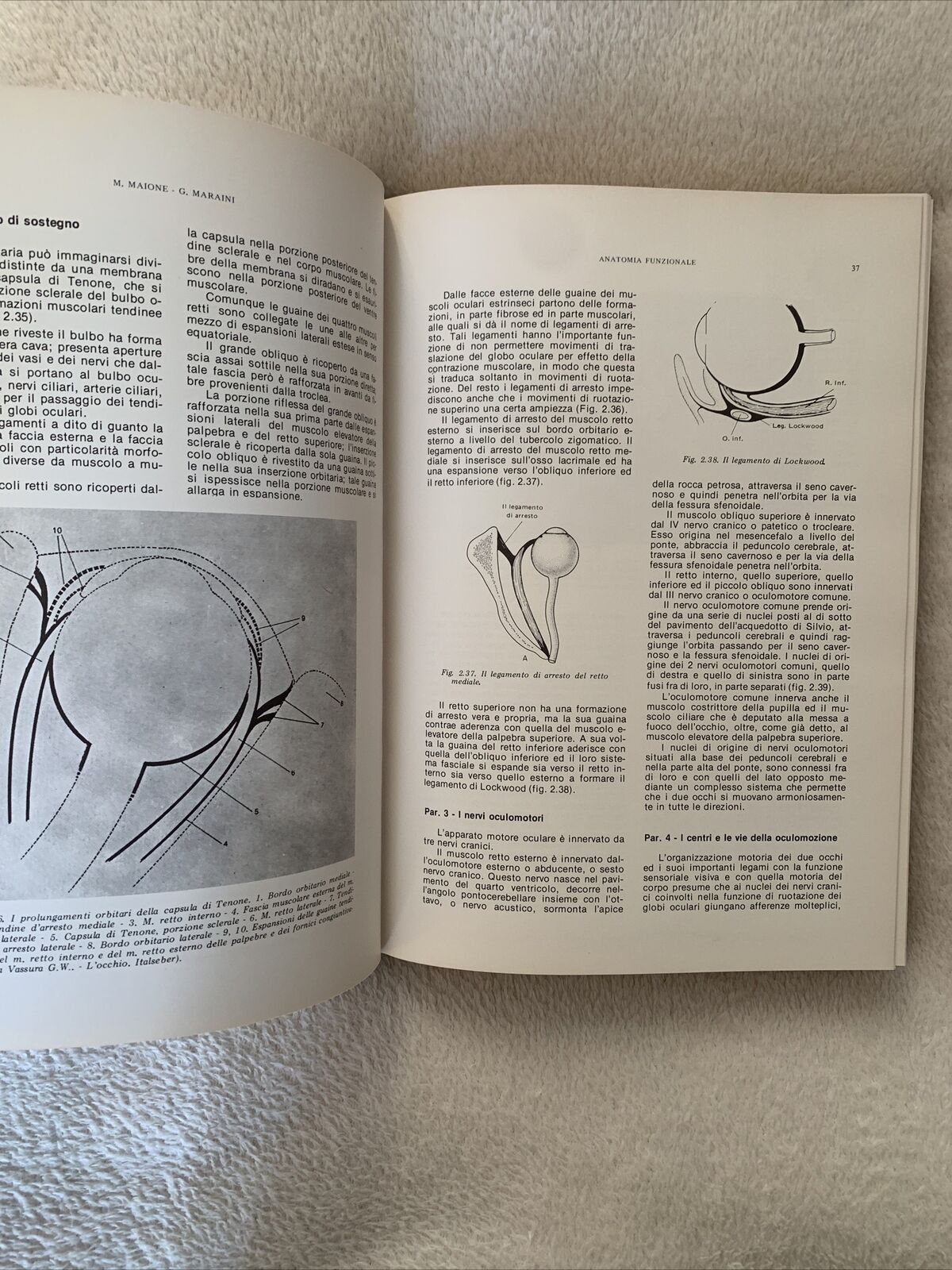 L'UNITÀ VISIVA SENSORIO-MOTORIA fisiopatologia e clinica dello strabismo. Maione