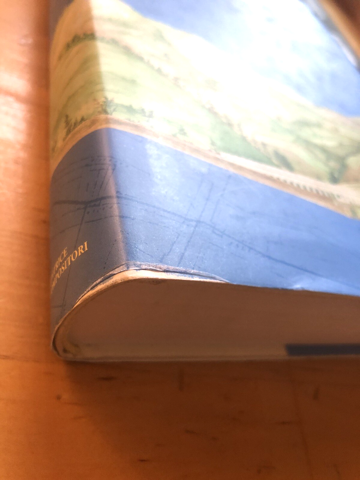 Il sistema delle acque a Bologna dal XIII al XIX secolo, Angelo Zanotti 2000