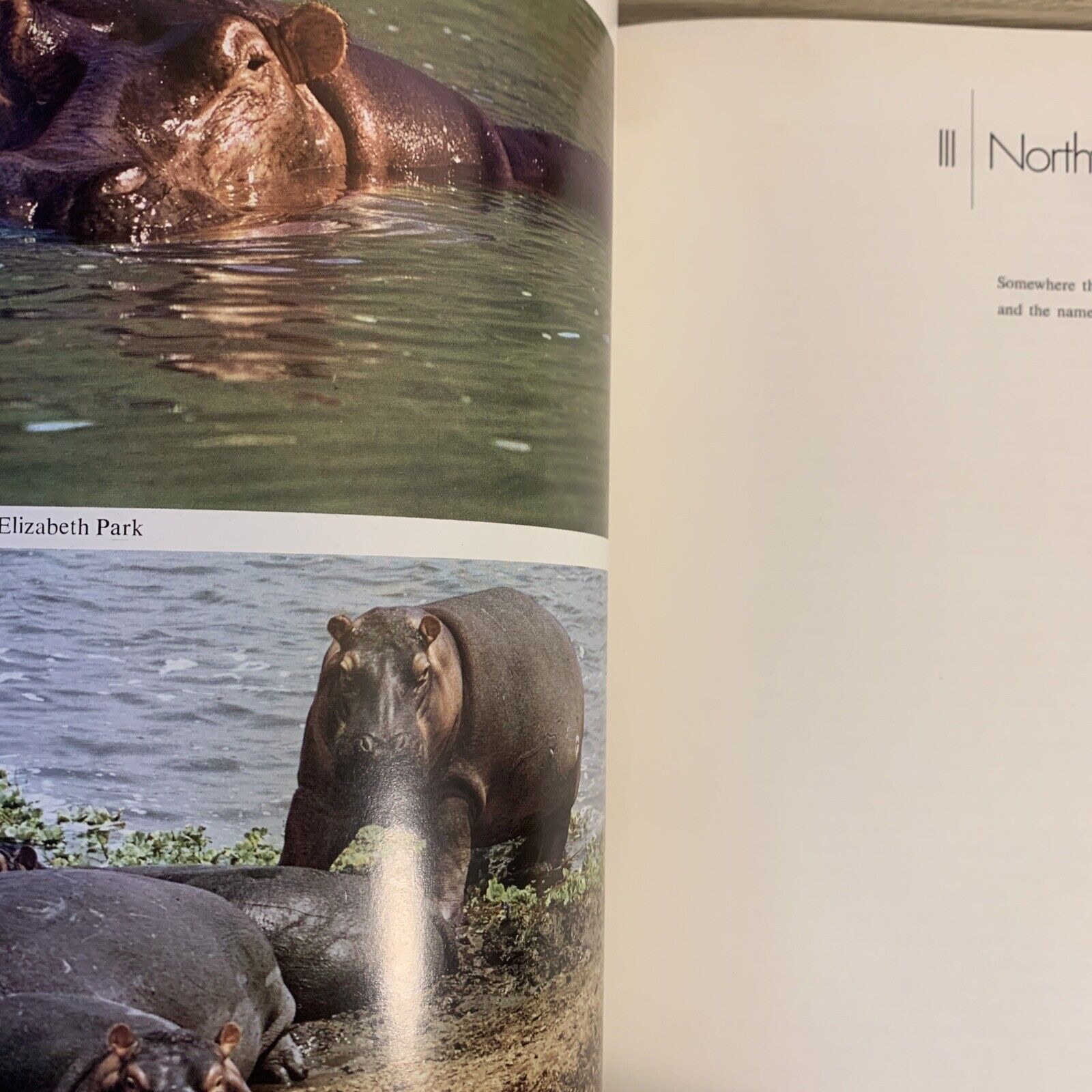 PETER MATTHIESSEN - THE TREE WHERE MAN WAS BORN. ELIOT PORTER , THE AFRICAN EXPE