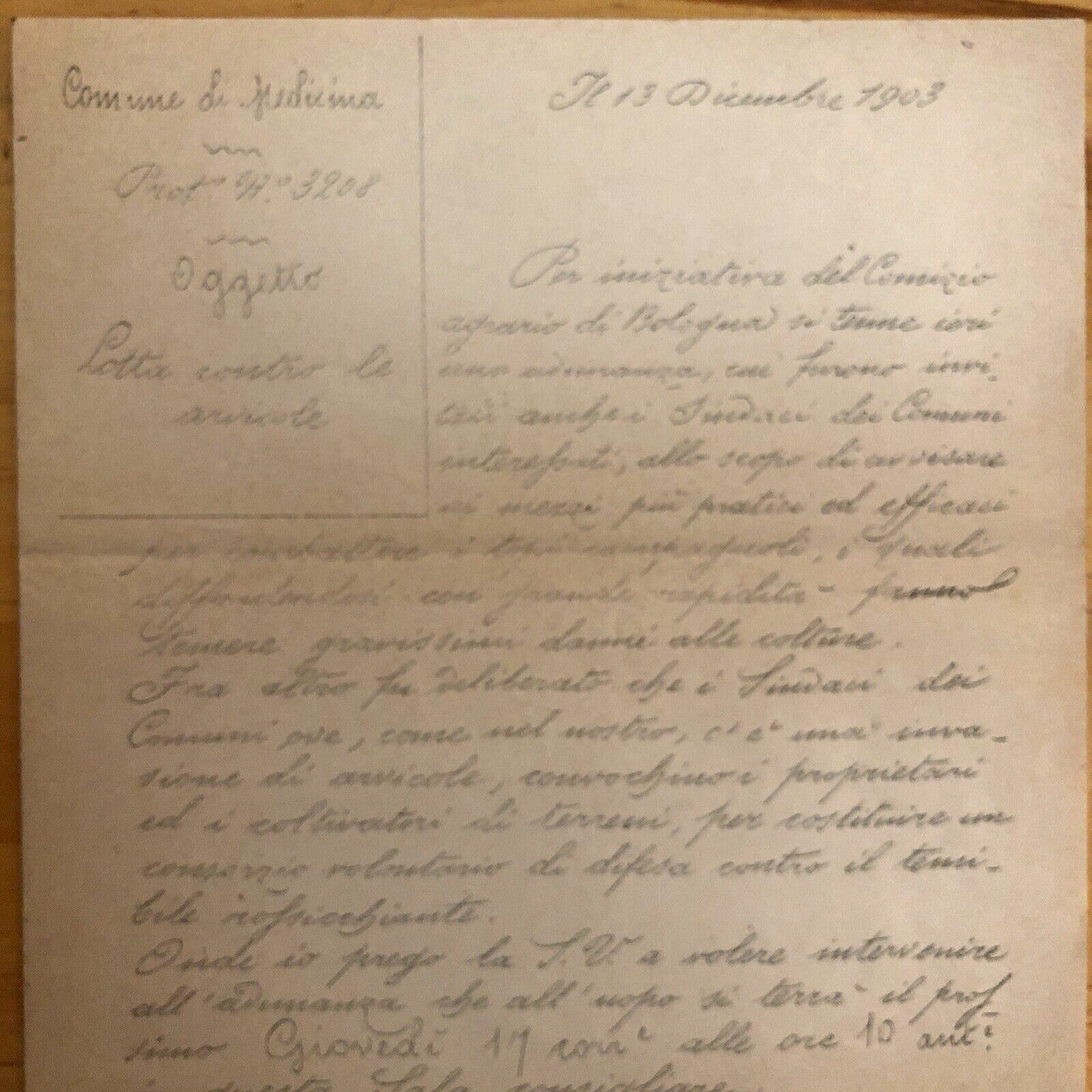COMUNE DI MEDICINA 1903 lotta contro le arvicole. SindacoCBaroni. COPIA D'EPOCA