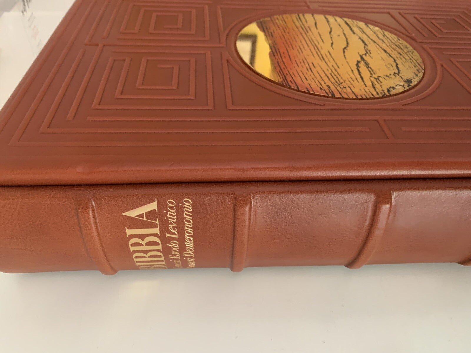 BIBBIA Genesi, Esodo, Levitico, ediz. UNICA. PREGIO FMR Leonardo Cremonini 2008