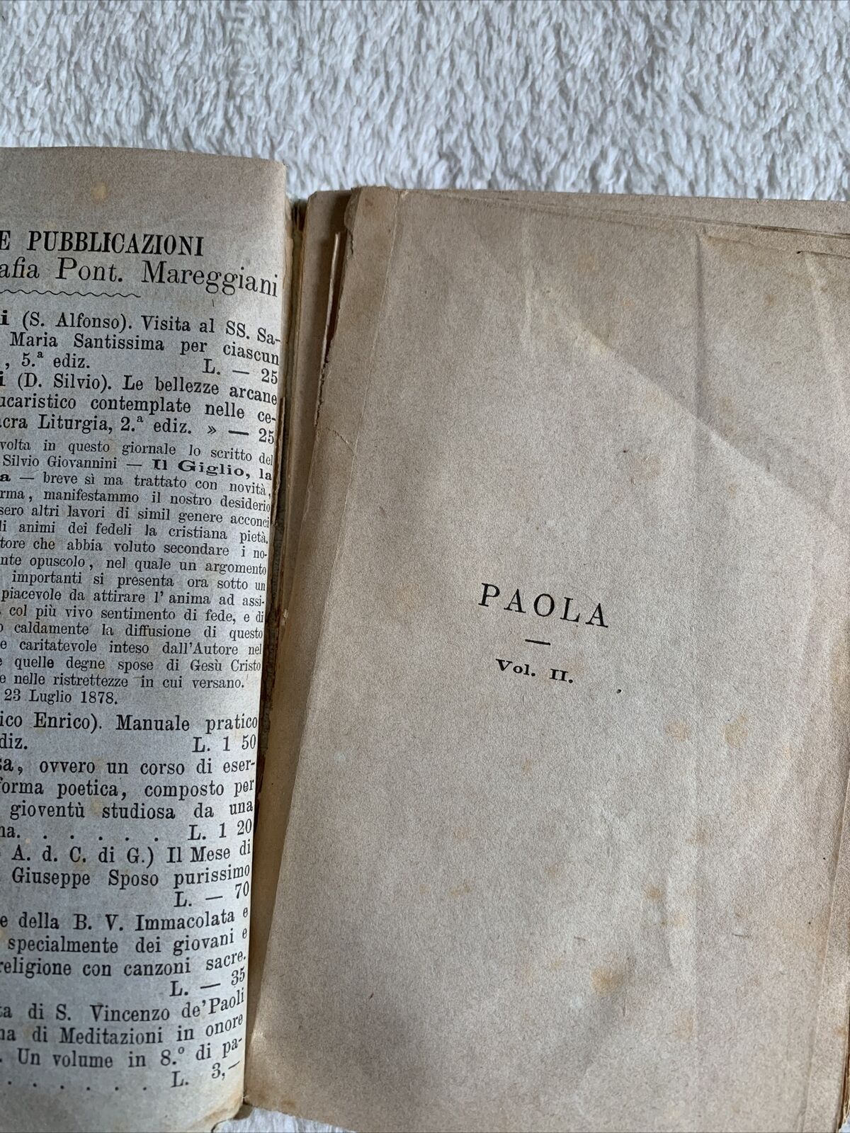 Paola rose e spine della chiesa del IV secolo per una figlia della carità  1879