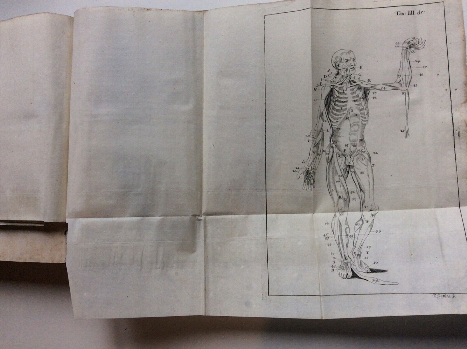 ESPOSIZIONE ANATOMICA DELLA STRUTTURA DEL CORPO UMANO, WINSLOW, 1767, 2 tomi