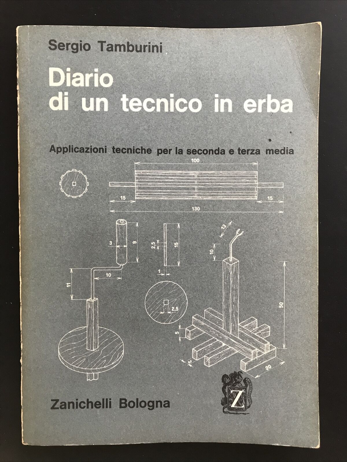 DIARIO DI UN TECNICO IN ERBA applicazioni tecniche 2a e 3a media, S. Tamburini