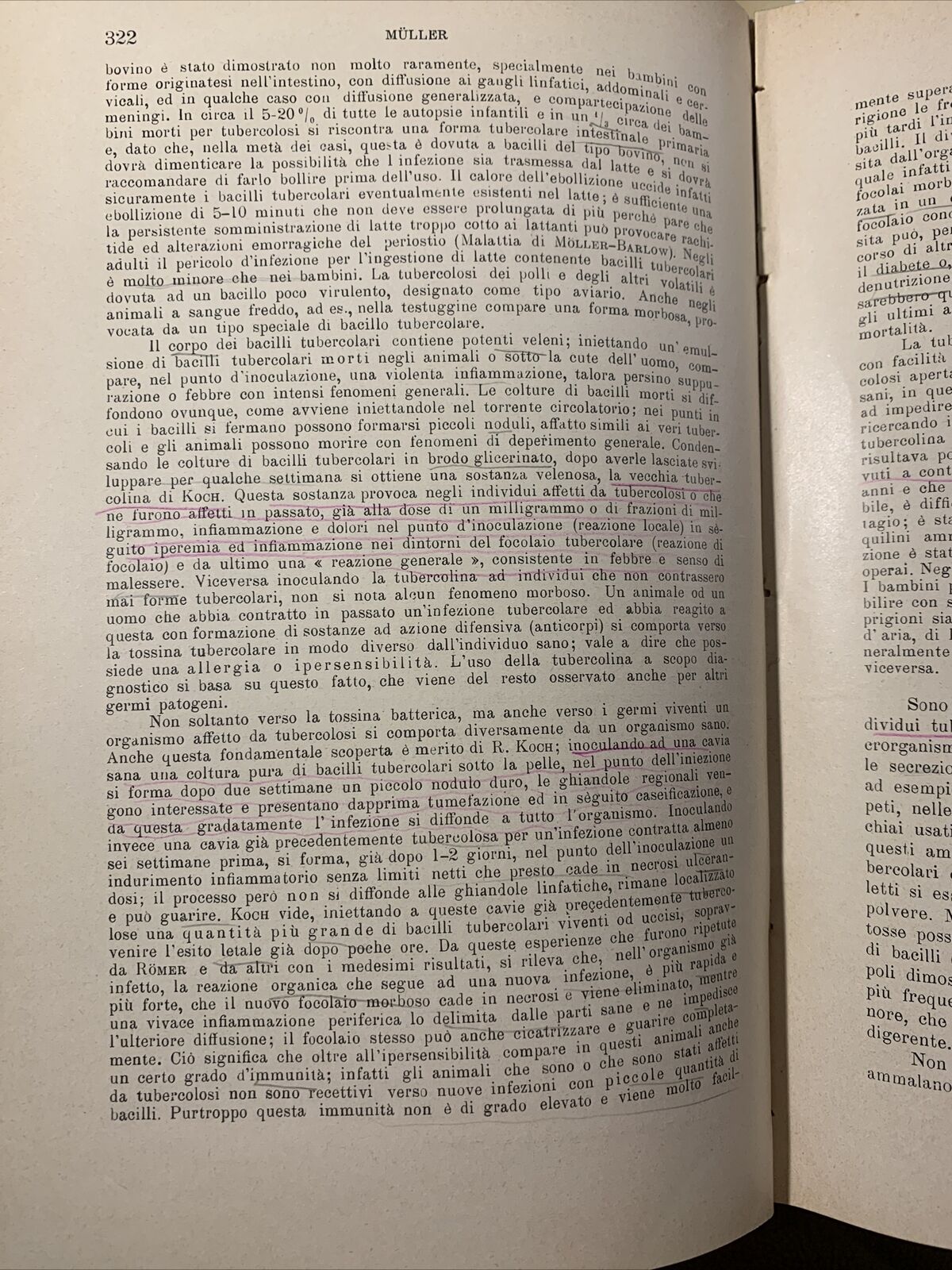 TRATTATO DELLE MALATTIE INTERNE, J. v. Mering. Società Editrice Libraria 1926