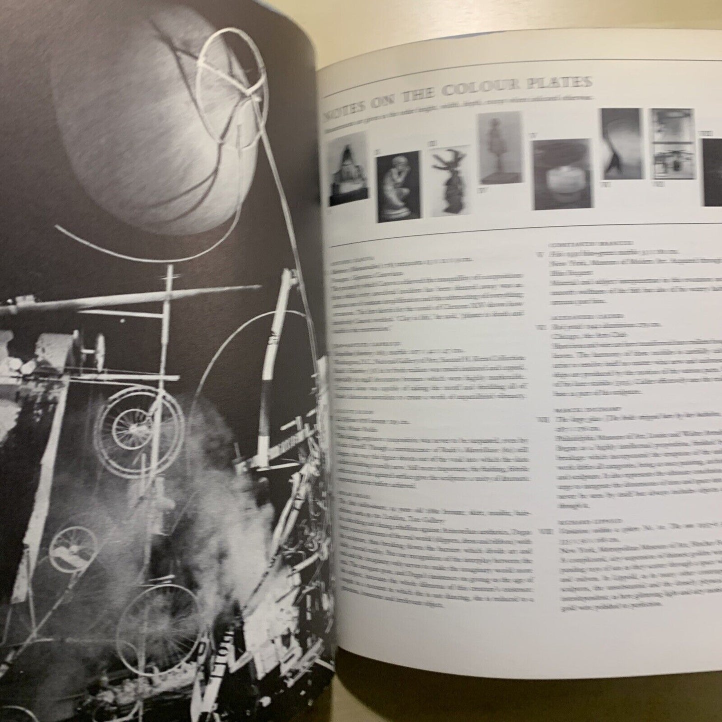SCULPTURE 19TH & 20TH CENTURIES - FRED LICHT. MICHAEL JOSEPH LONDON 1967 #