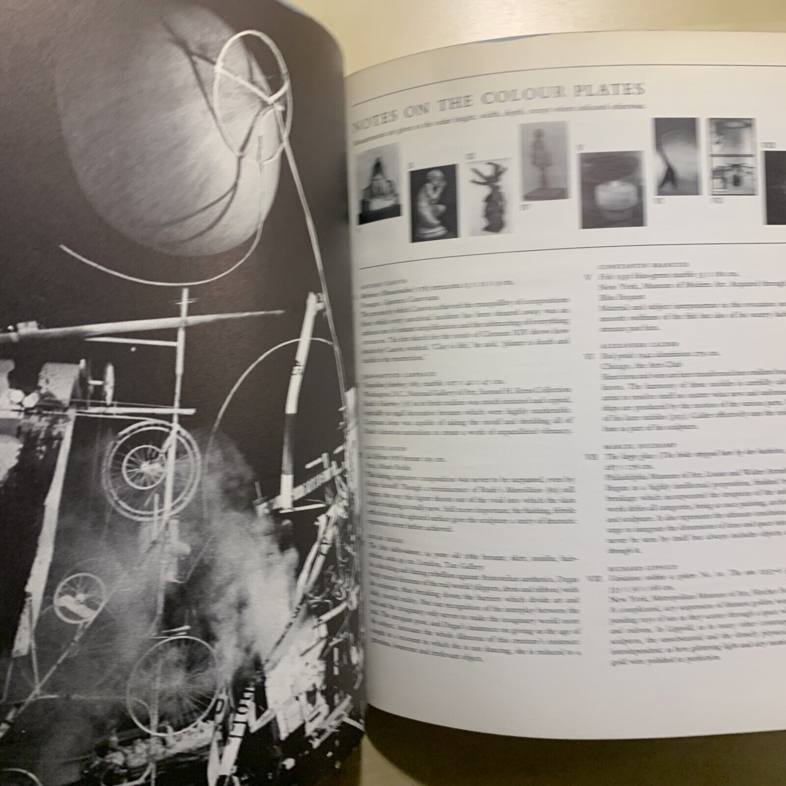 SCULPTURE 19TH & 20TH CENTURIES - FRED LICHT. MICHAEL JOSEPH LONDON 1967 #
