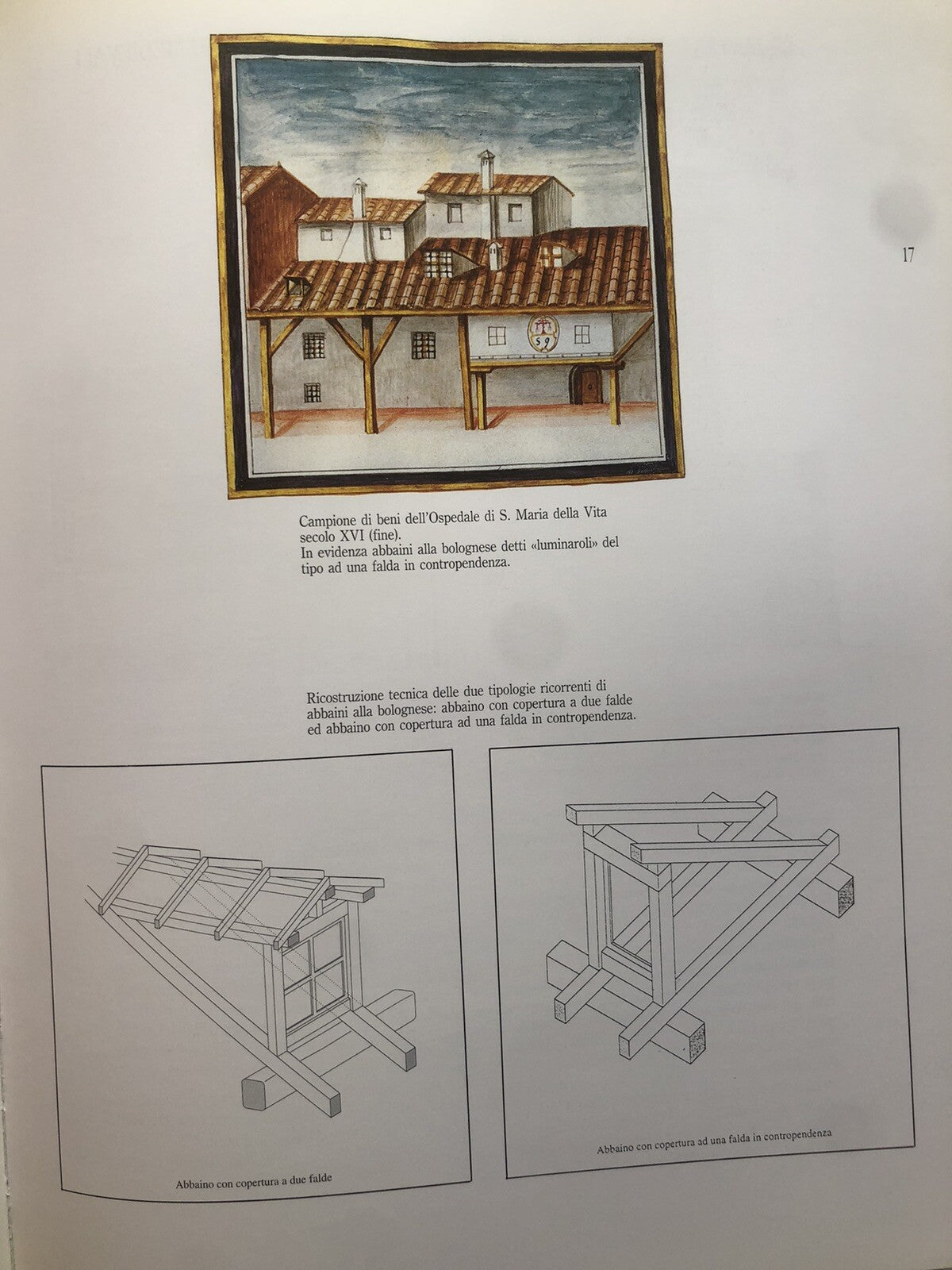 Sopra i tetti di Bologna -  Altane e Terrazze storiche, Roberto Scannavini 1995
