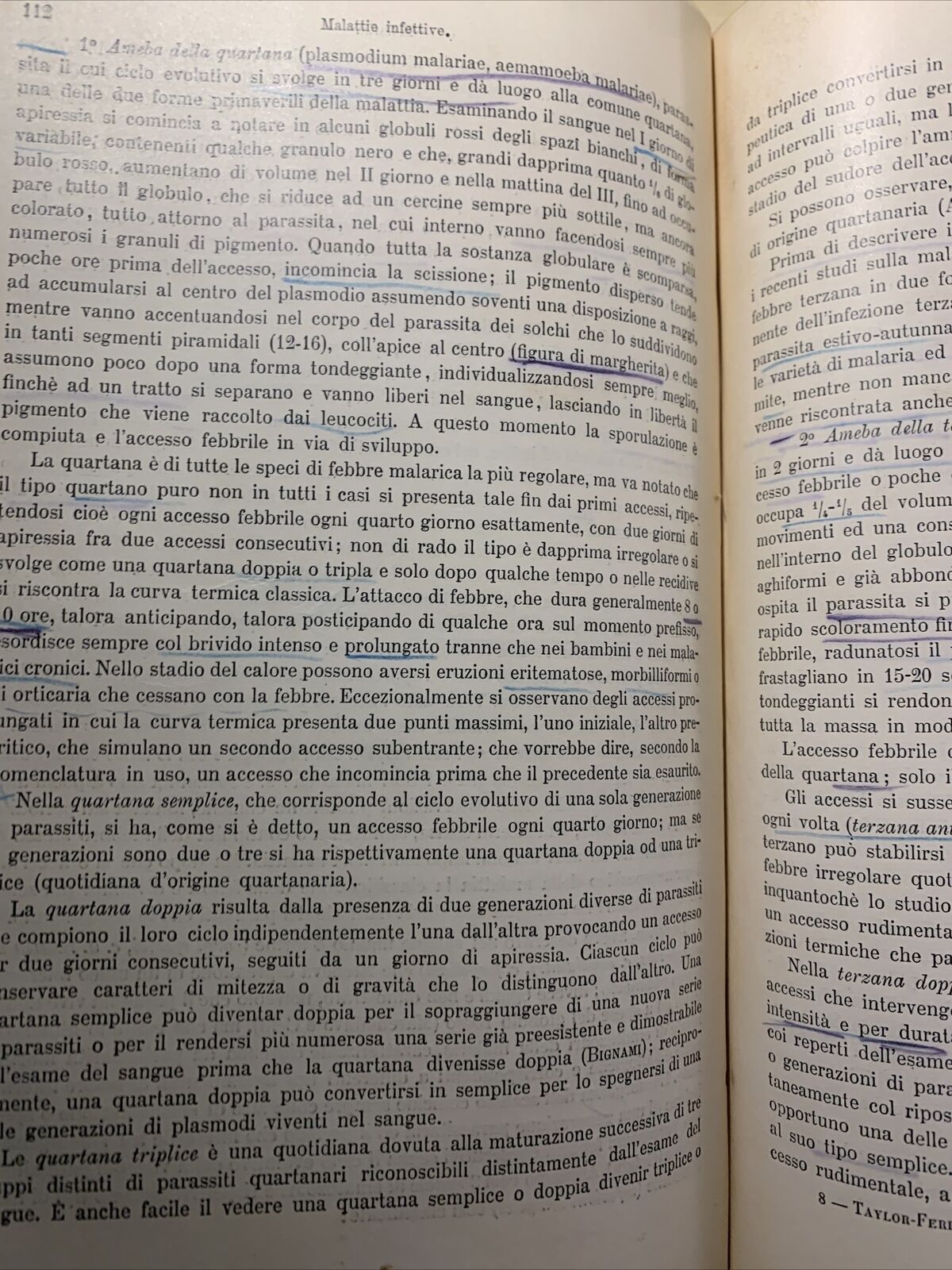 MANUALE PRATICO MEDICINA INTERNA - FEDERICO TAYLOR. UTET 1911. 2 VOLUMI #