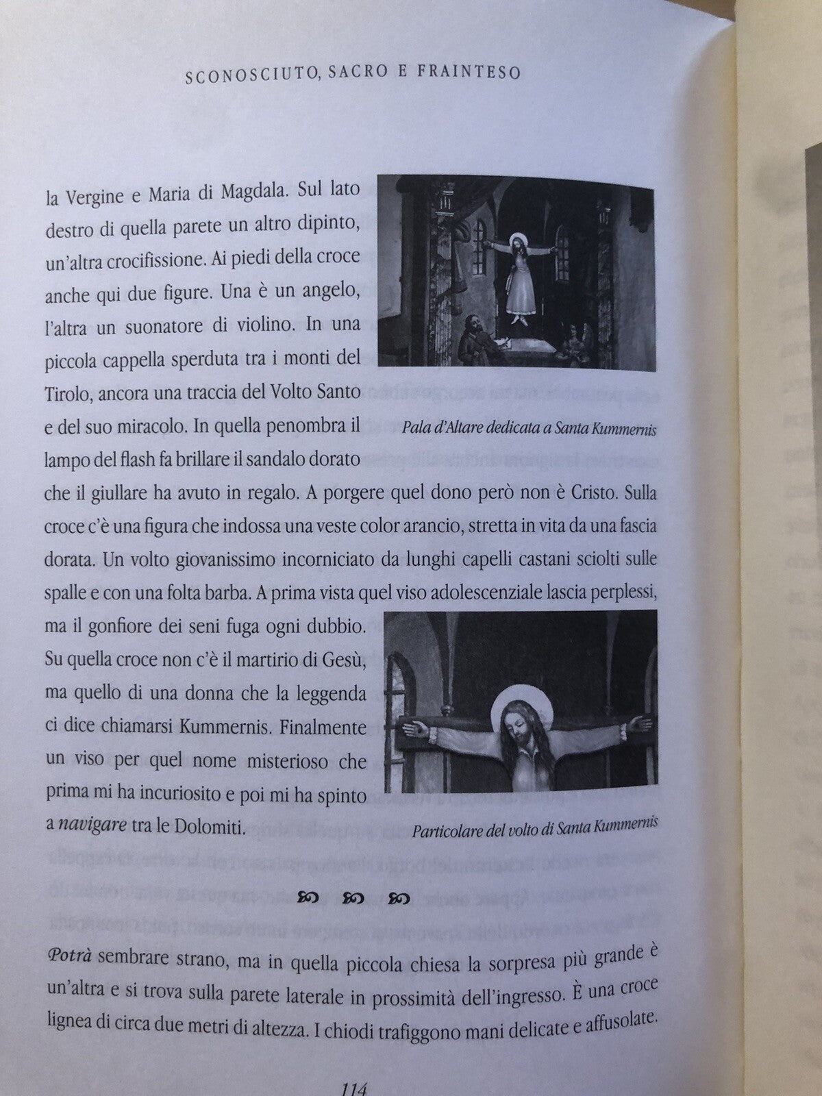 L'incanto e lo spavento, Bologna e dintorni, Maurizio Catassi, Minerva edizioni