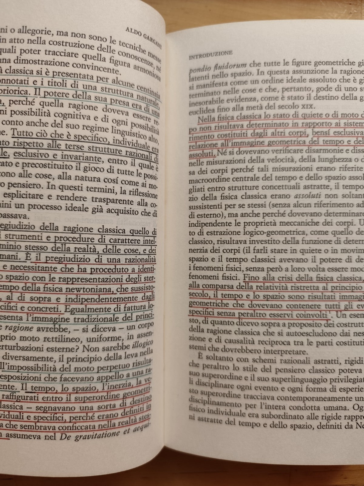 Crisi della ragione, Gargani, Ginzburg, Lepschy - Einaudi paperbacks 1979