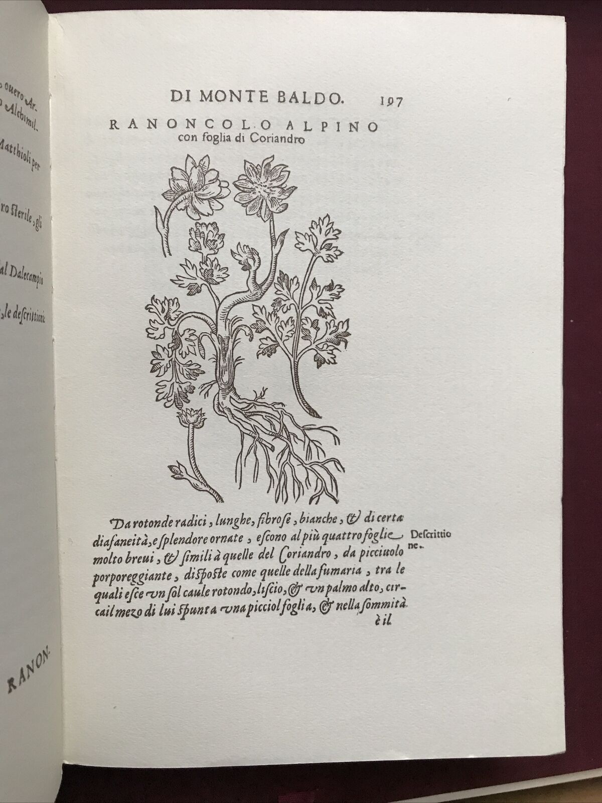MONTE BALDO, Giovanni Pona. Botanica-Piante rare, facsimile 1972 dell'ed. 1617