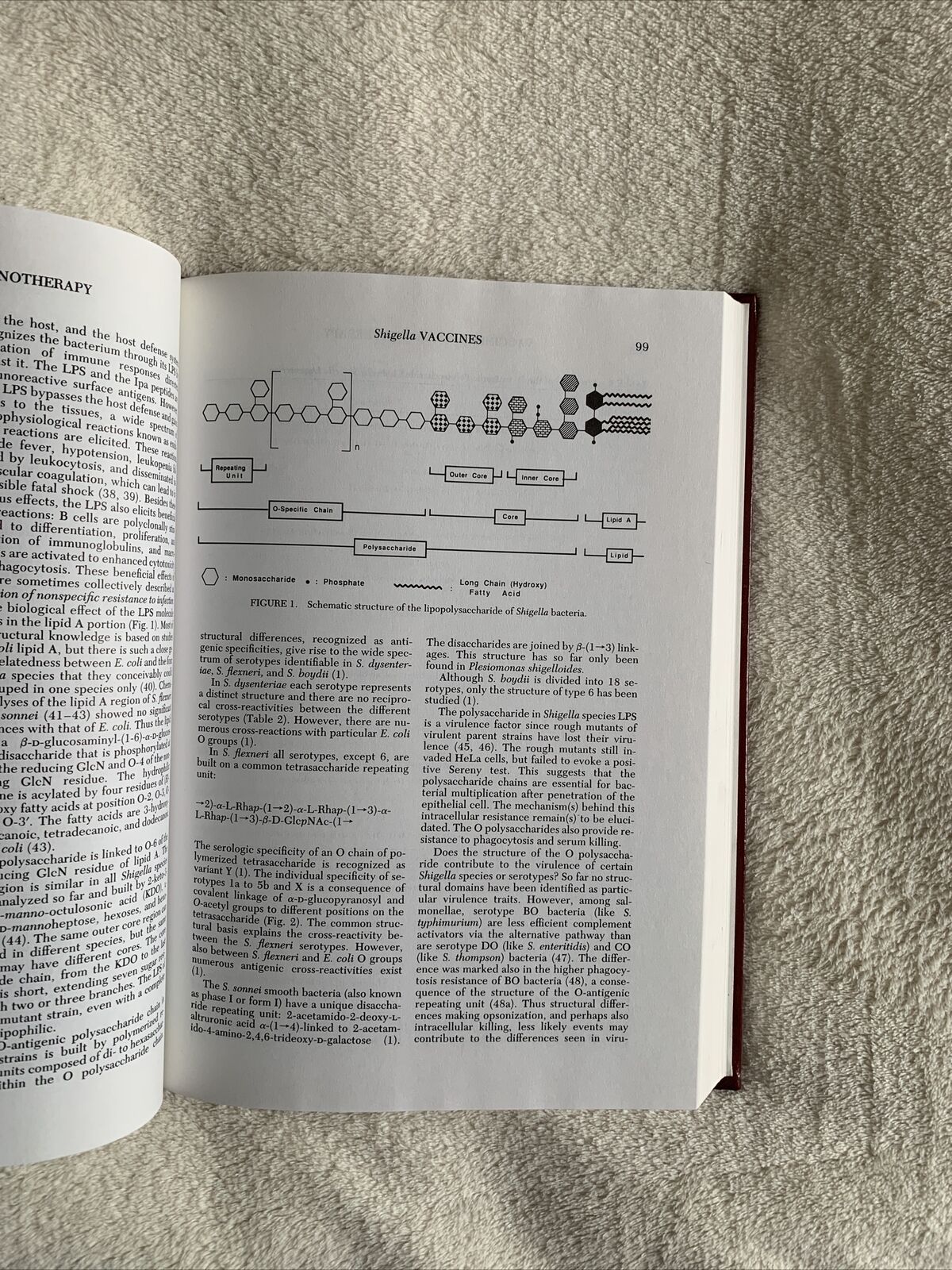 VACCINES AND IMMUNOTHERAPY - Stanley J. Cryz, Jr - McGraw-Hill 1991 #