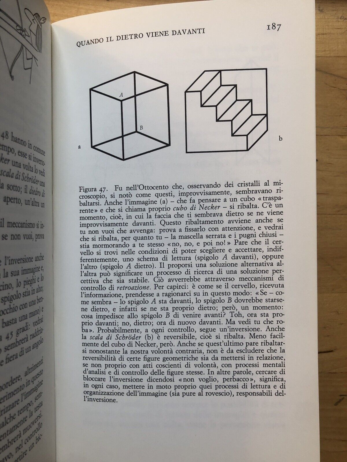 Tra vedere e non vedere, Tonino Capsula - Einaudi 1981