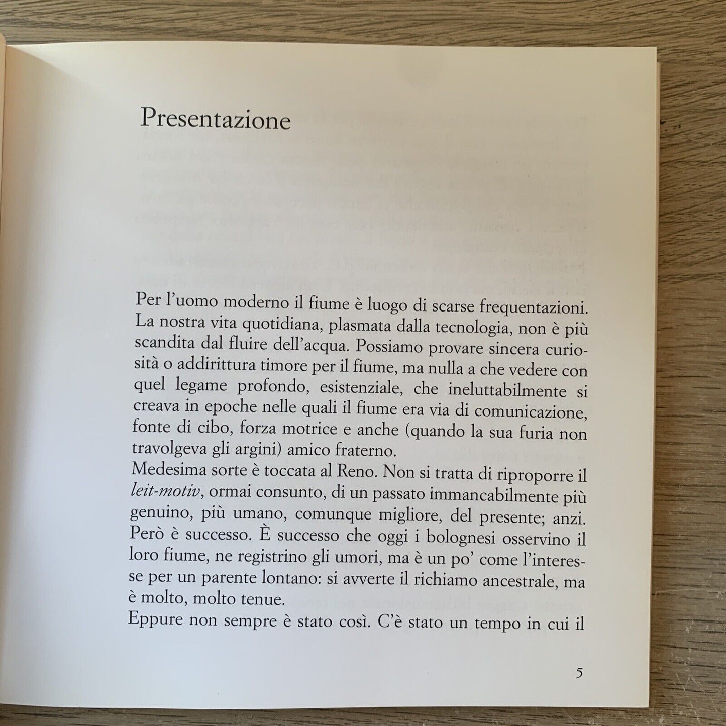 Il Romanzo del Reno - Maurizio Garuti. Pendragon 2004