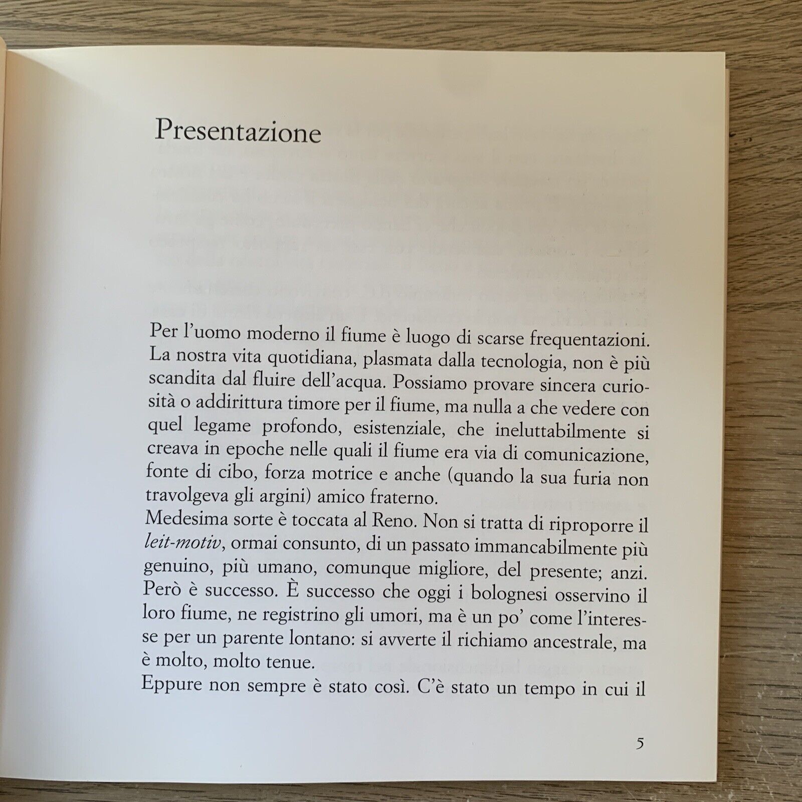 Il Romanzo del Reno - Maurizio Garuti. Pendragon 2004