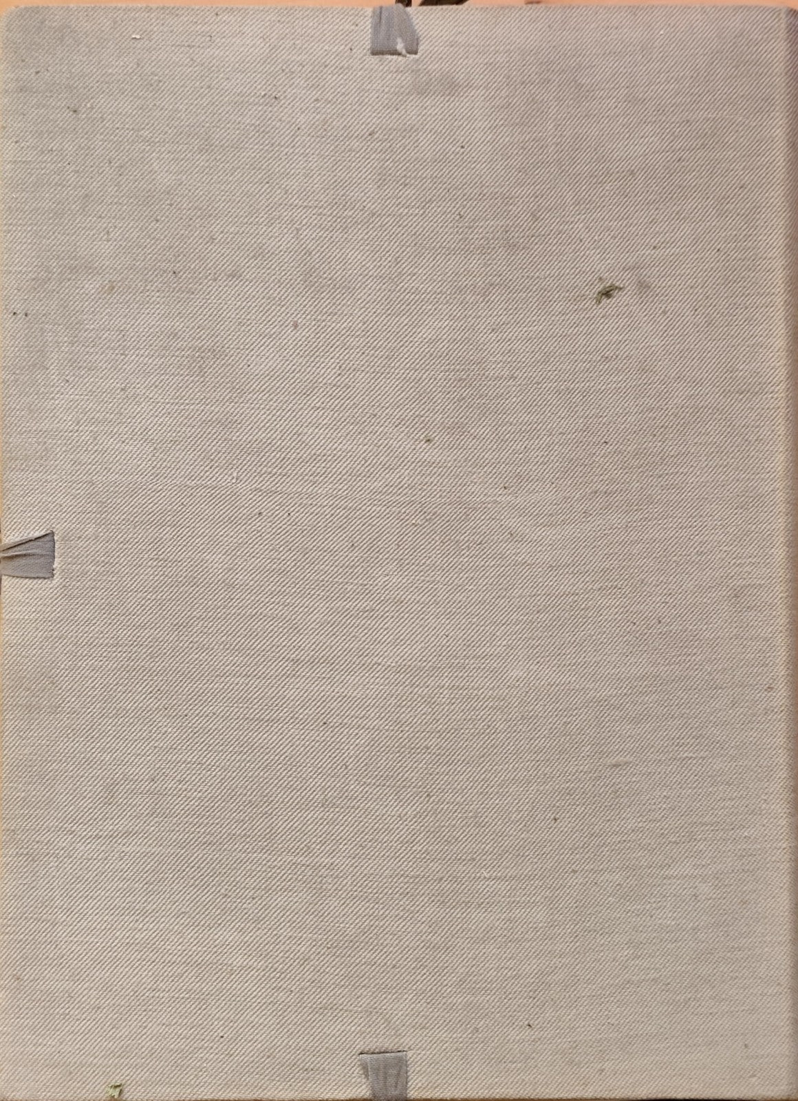 Ville e Castelli d'Italia, Riviera Ligure, Vittorio Cicala 1917, Gustavo Modiano