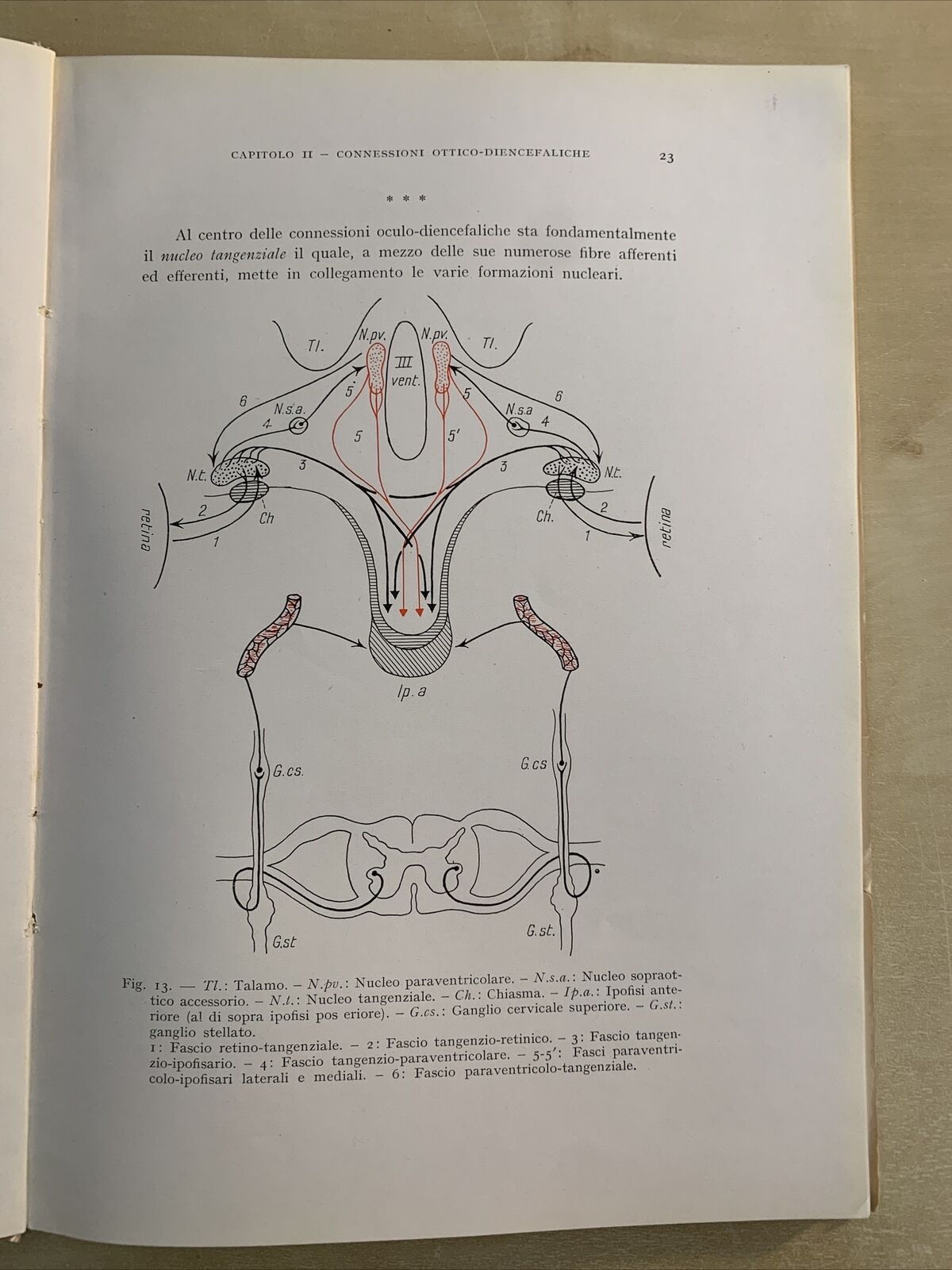 FISIOPATOLOGIA E CLINICA OCULO - DIENCEFALICA. Alajmo, Rubino 1952. Ariani #