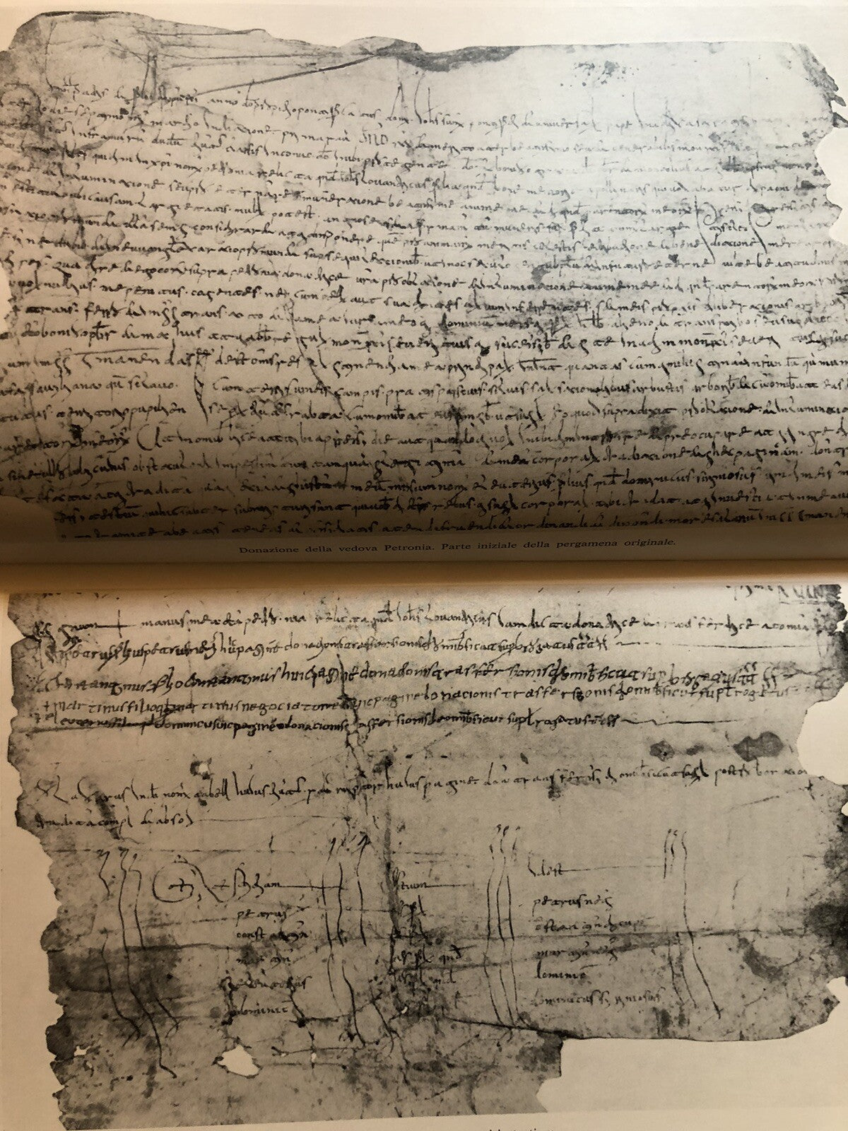 Una pergamena ravennate del secolo decimo, Giuseppe Rabotti, scuola paleografia