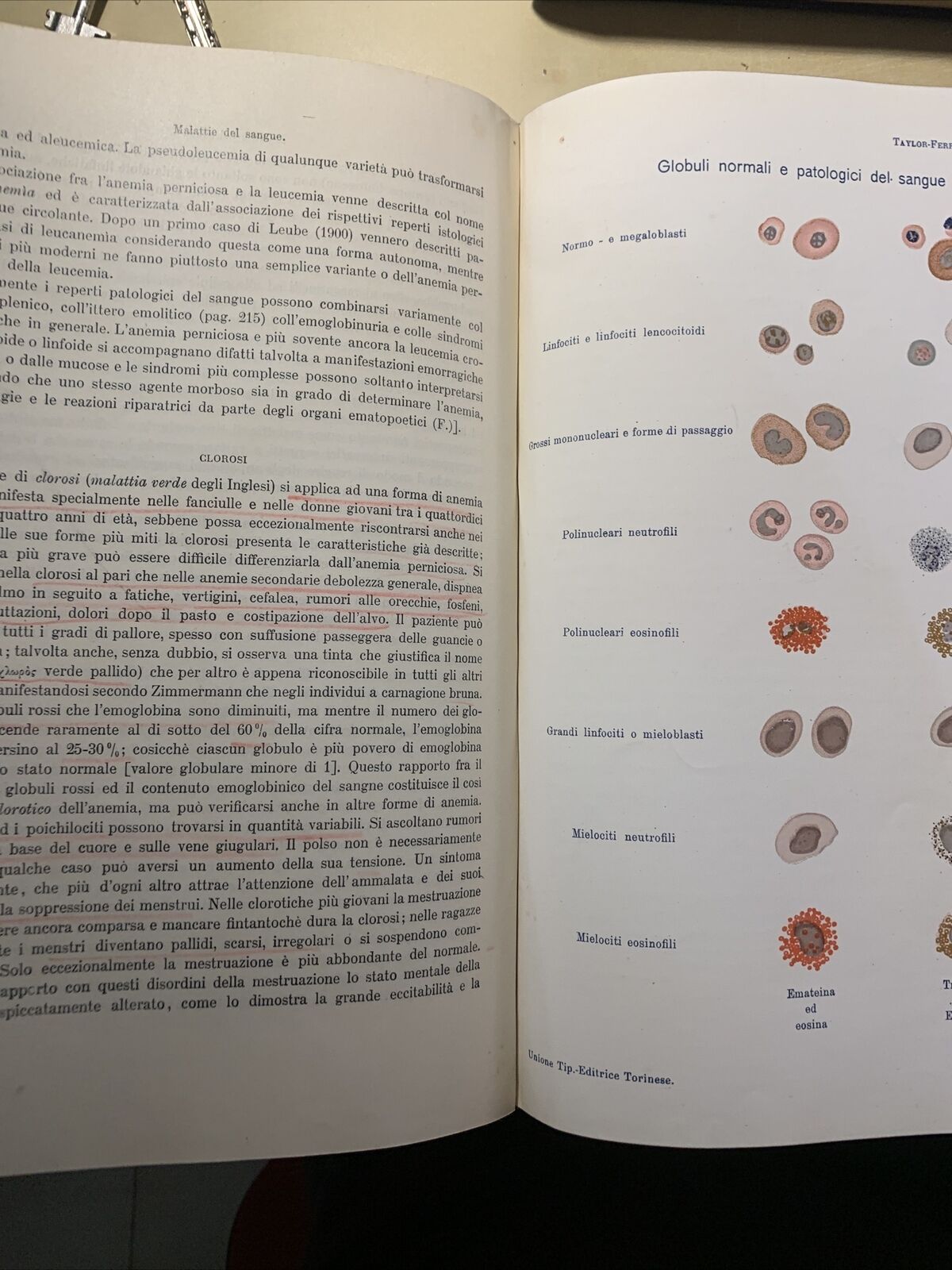 MANUALE PRATICO MEDICINA INTERNA - FEDERICO TAYLOR. UTET 1911. 2 VOLUMI #
