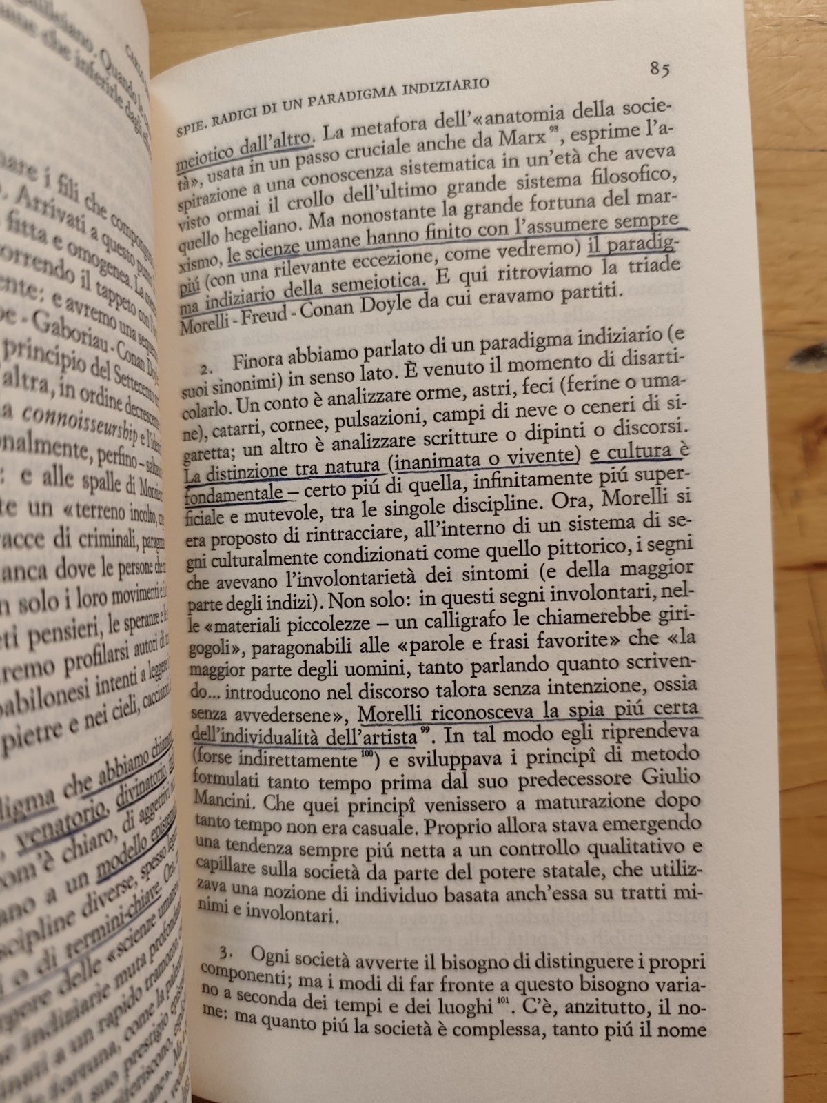 Crisi della ragione, Gargani, Ginzburg, Lepschy - Einaudi paperbacks 1979