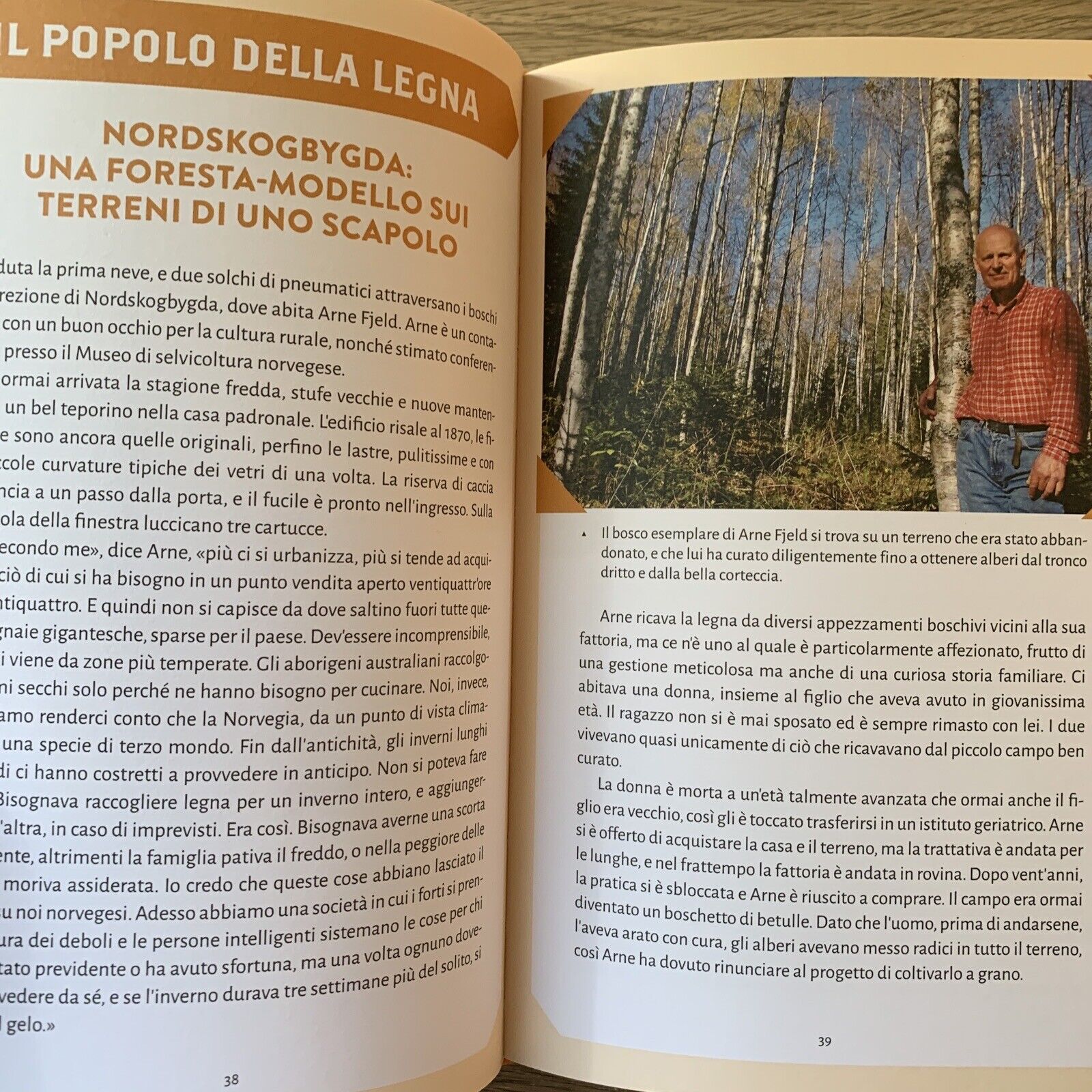 NORWEGIAN WOOD Lars Mytting. il metodo scandinavo per tagliare accatastare UTET