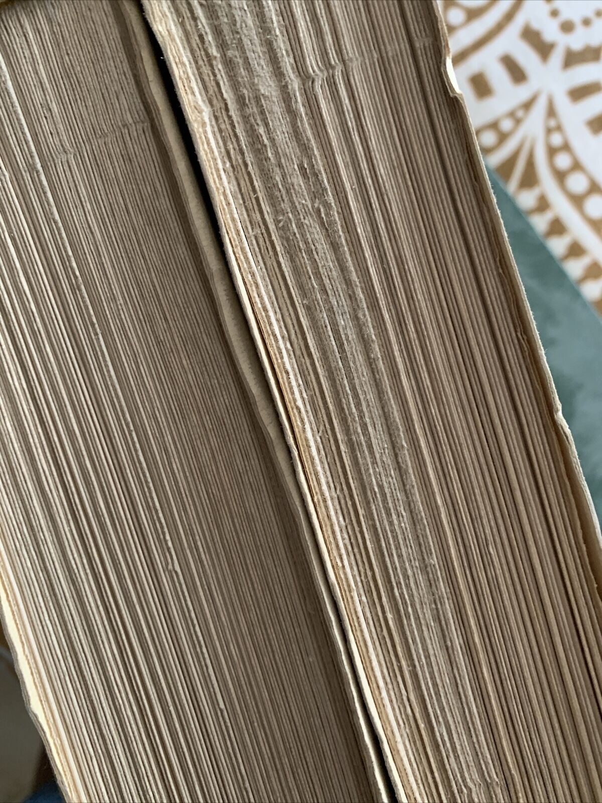 L'OCCHIO NEL LINGUAGGIO COMUNE - GIUSEPPE OVIO. 2 volumi 1941 #