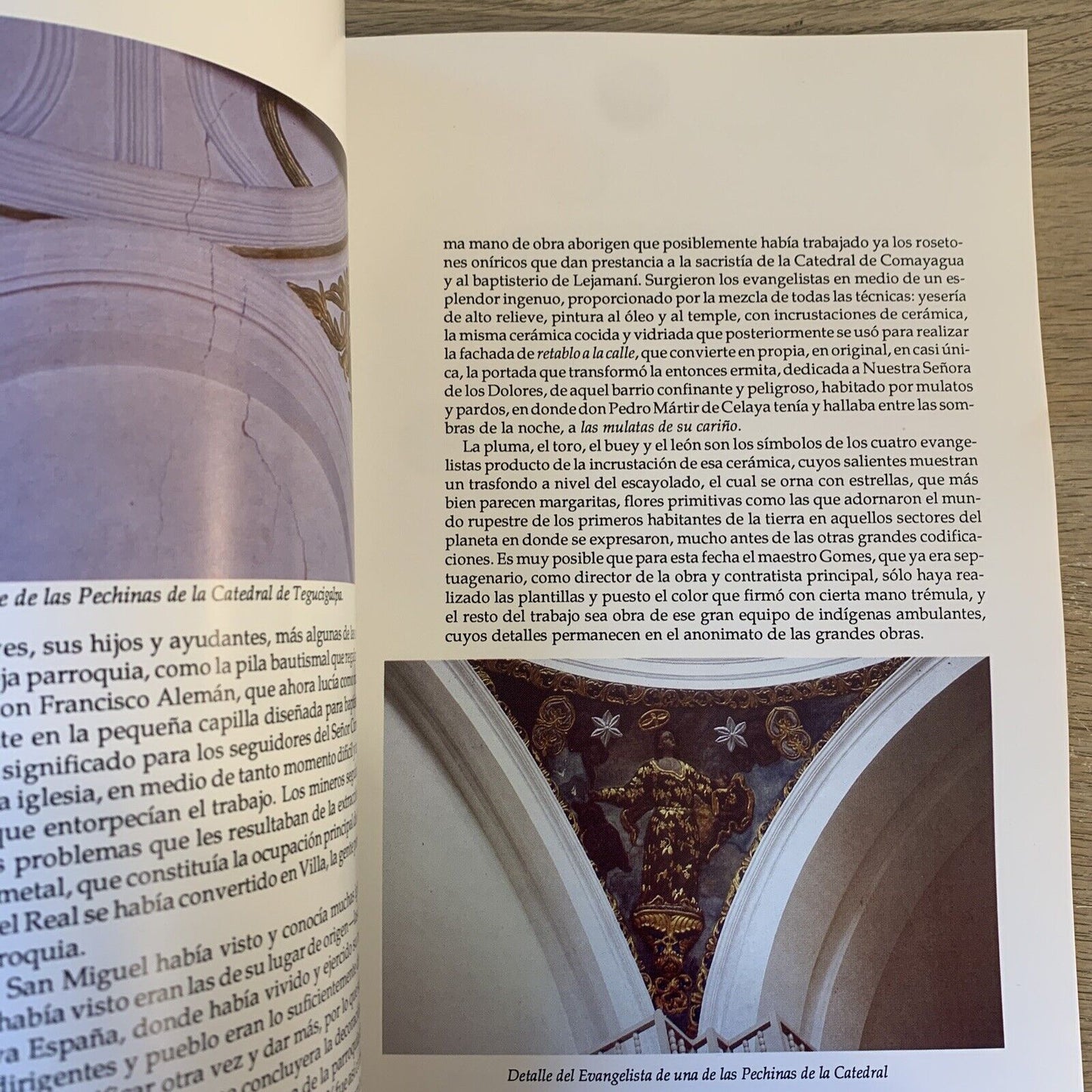 JOSE MIGUEL GOMES PINTOR CRIOLLO - LETICIA DE OYUELA 1992