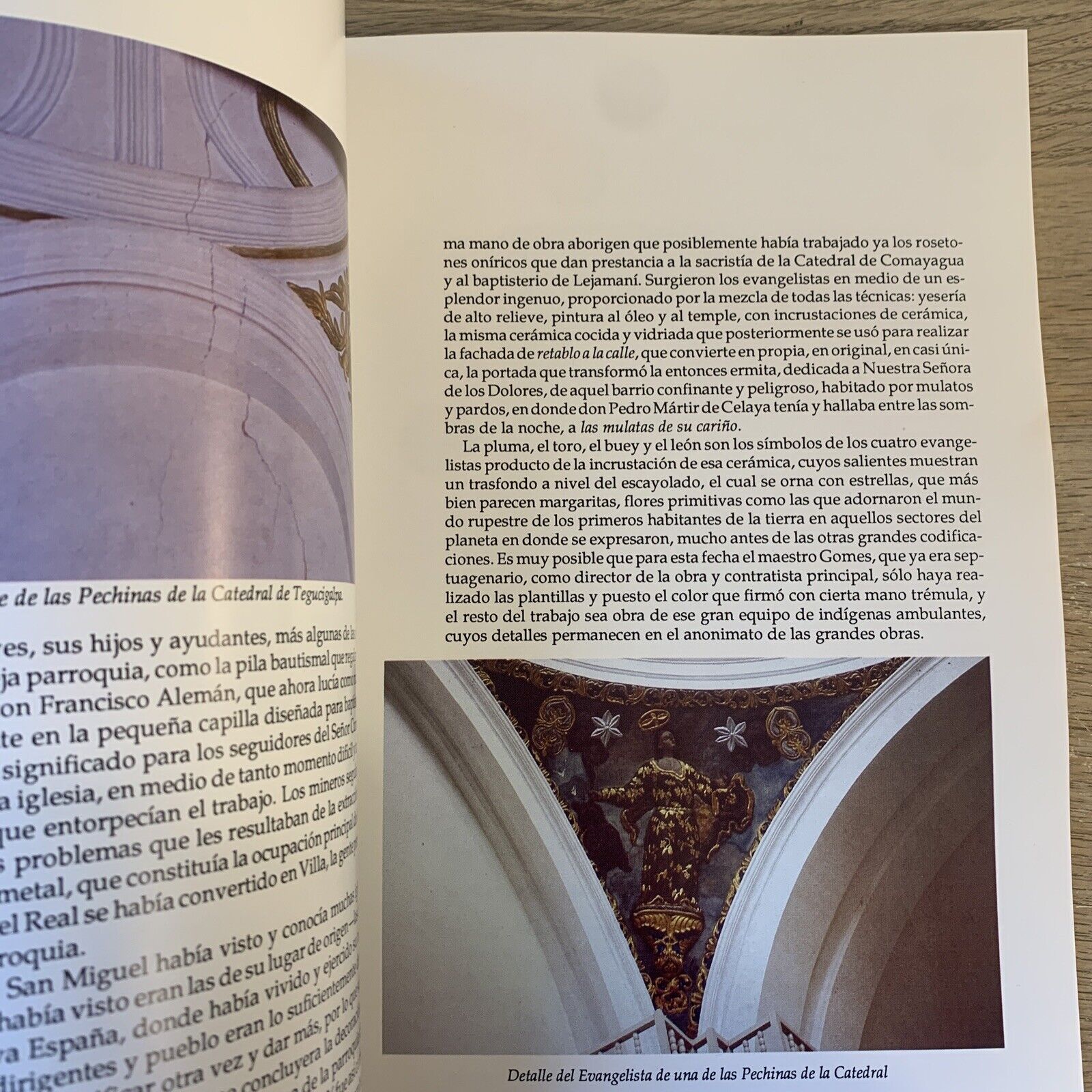 JOSE MIGUEL GOMES PINTOR CRIOLLO - LETICIA DE OYUELA 1992