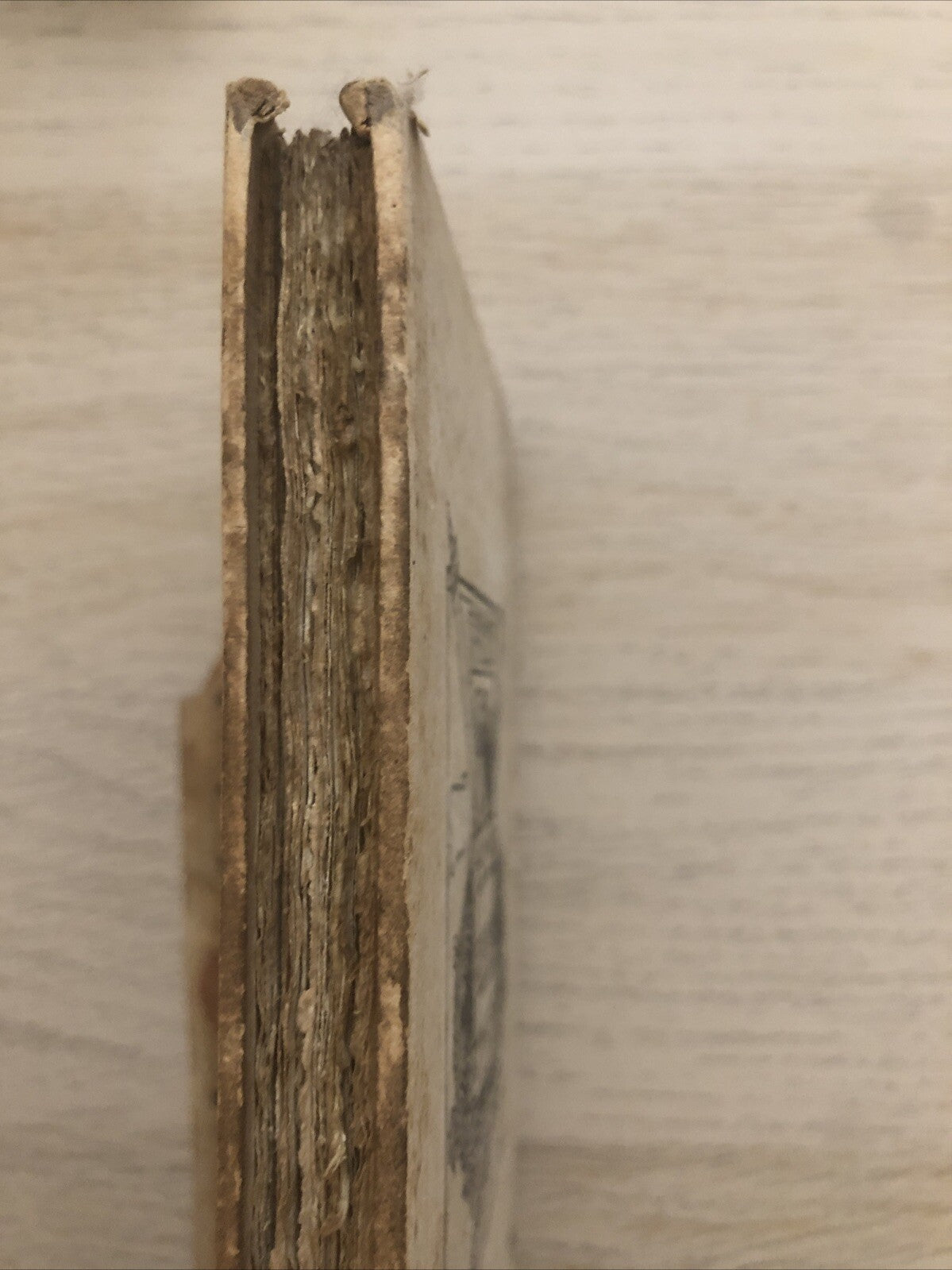 La Secchia, Olindo Guerrini, A. F. Formiggini editore. Garagnani 1908 - Tassone