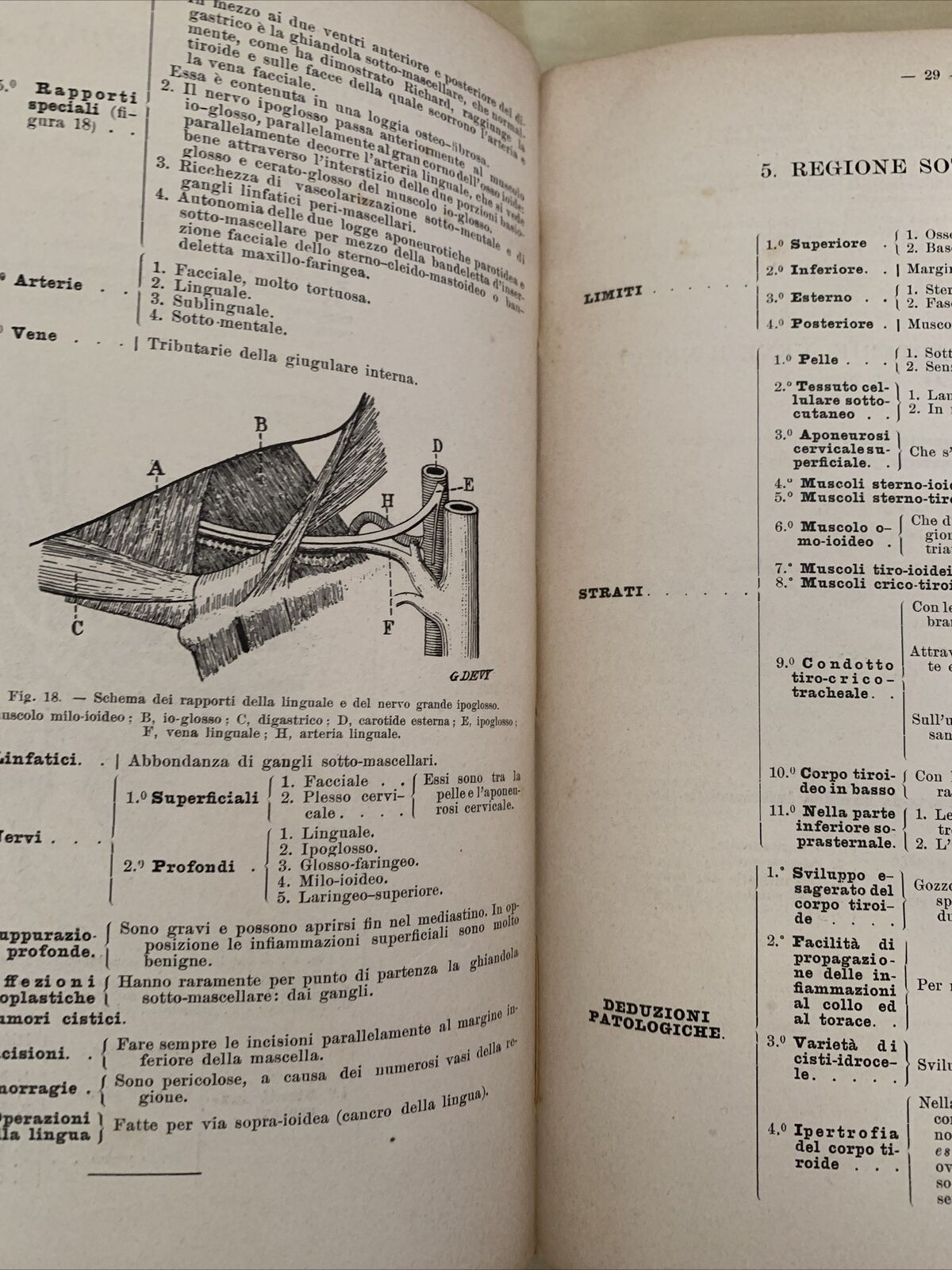 ANATOMIA TOPOGRAFICA E CHIRURGICA - Dr. Boutigny 1901. Soc. Editrice libraria #