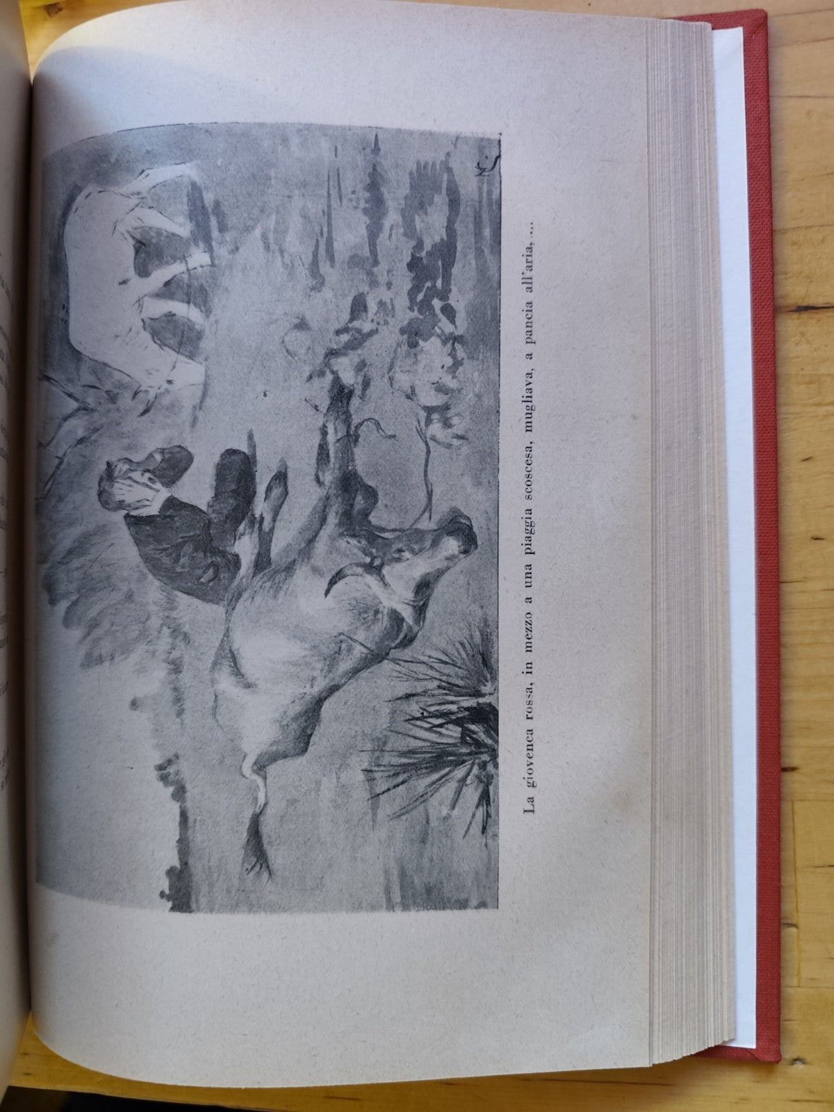 All'aria aperta, Renato Fucini. R. Bemporad scene e macchiette della campagna to