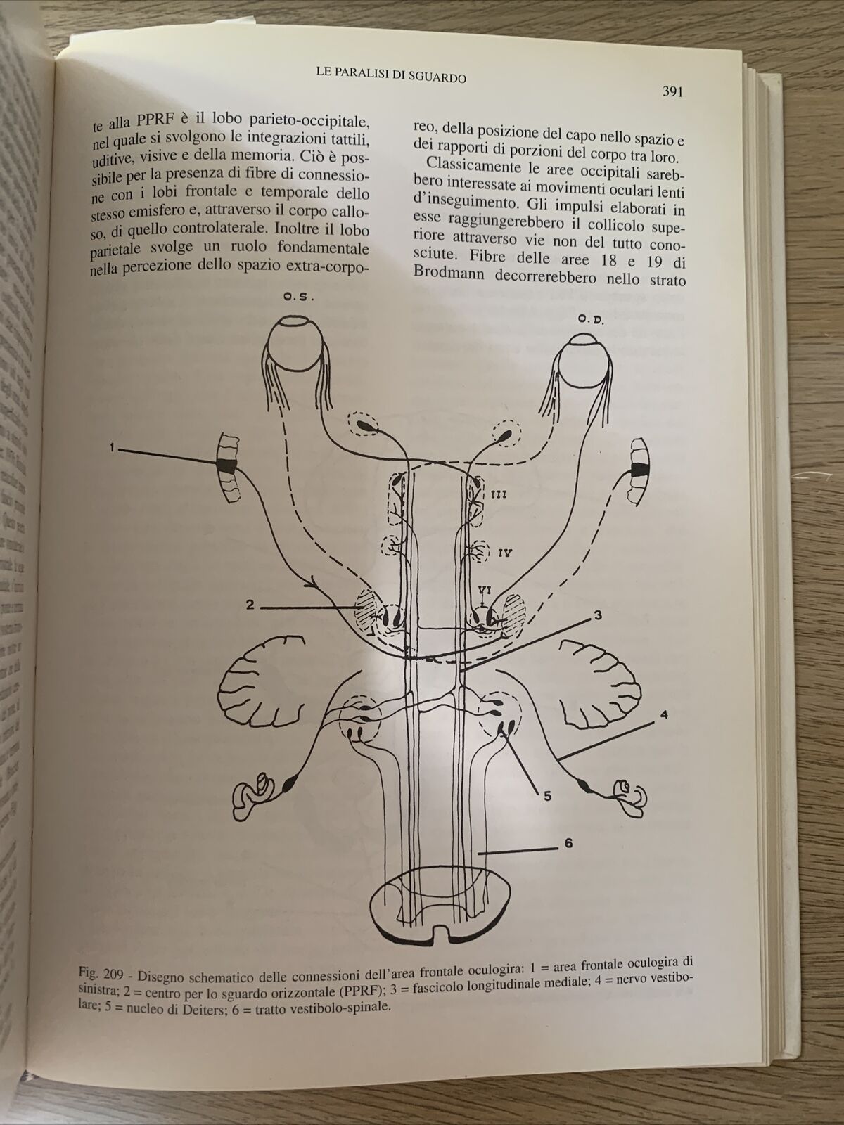 NEUROFTALMOLOGIA - FRANCESCO CARTA, EDIZIONI SBM 1997 #