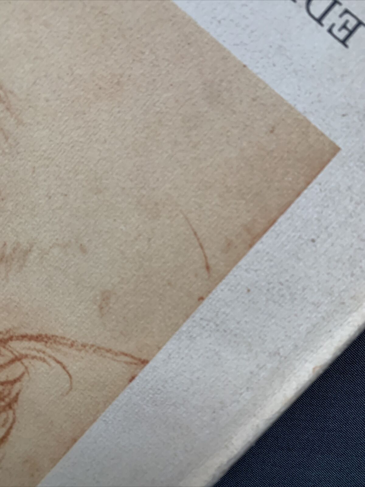 Disegni italiani dal XIII al XIX secolo. Edizioni Minerva 1963