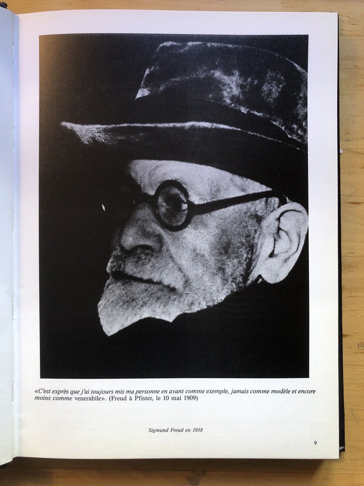 Sigmund Freud sa vie son oeuvre. Nathalie Lambrichs Georges, Frédérich Birr ed.