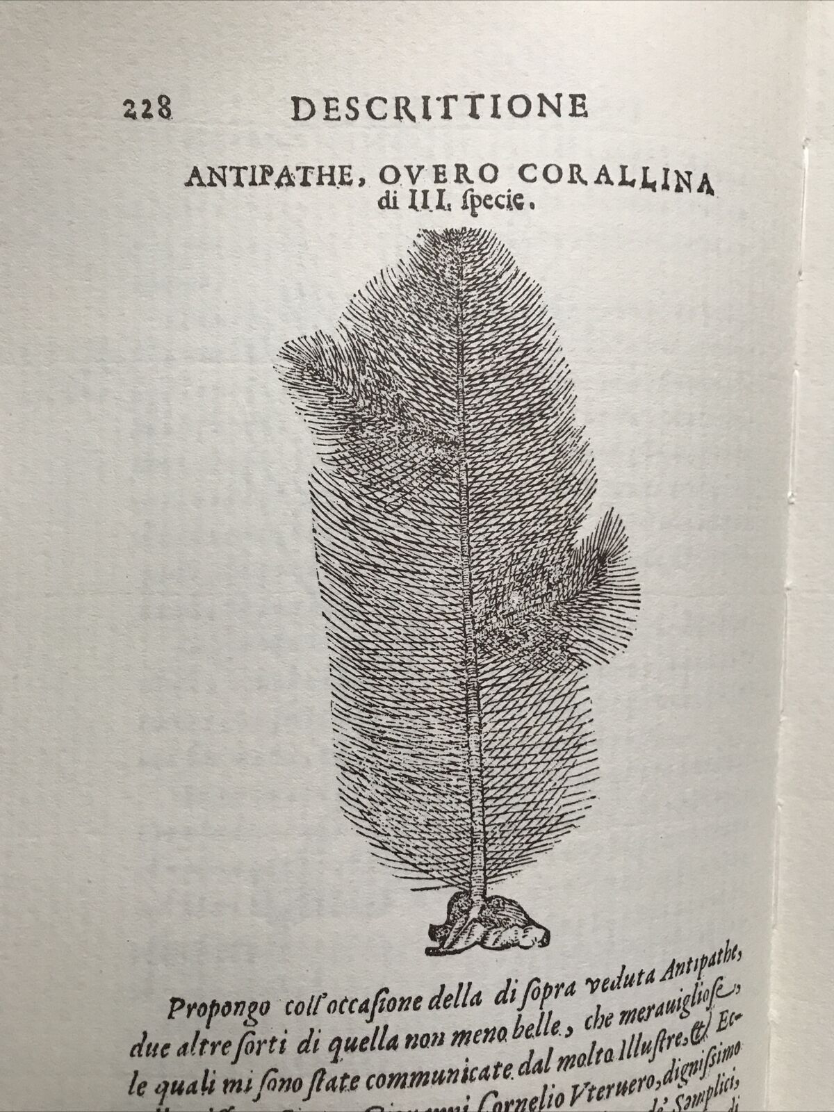 MONTE BALDO, Giovanni Pona. Botanica-Piante rare, facsimile 1972 dell'ed. 1617