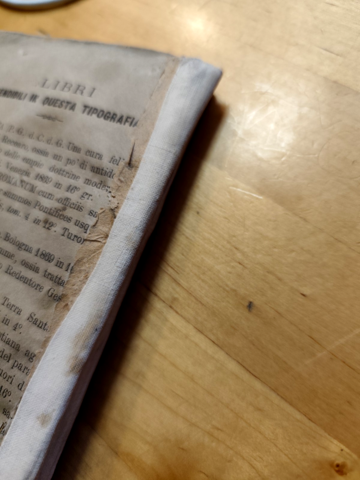 Vita di S. M. Maddalena de' Pazzi Carmelitana osserv. - Vincenzo Puccini 1869