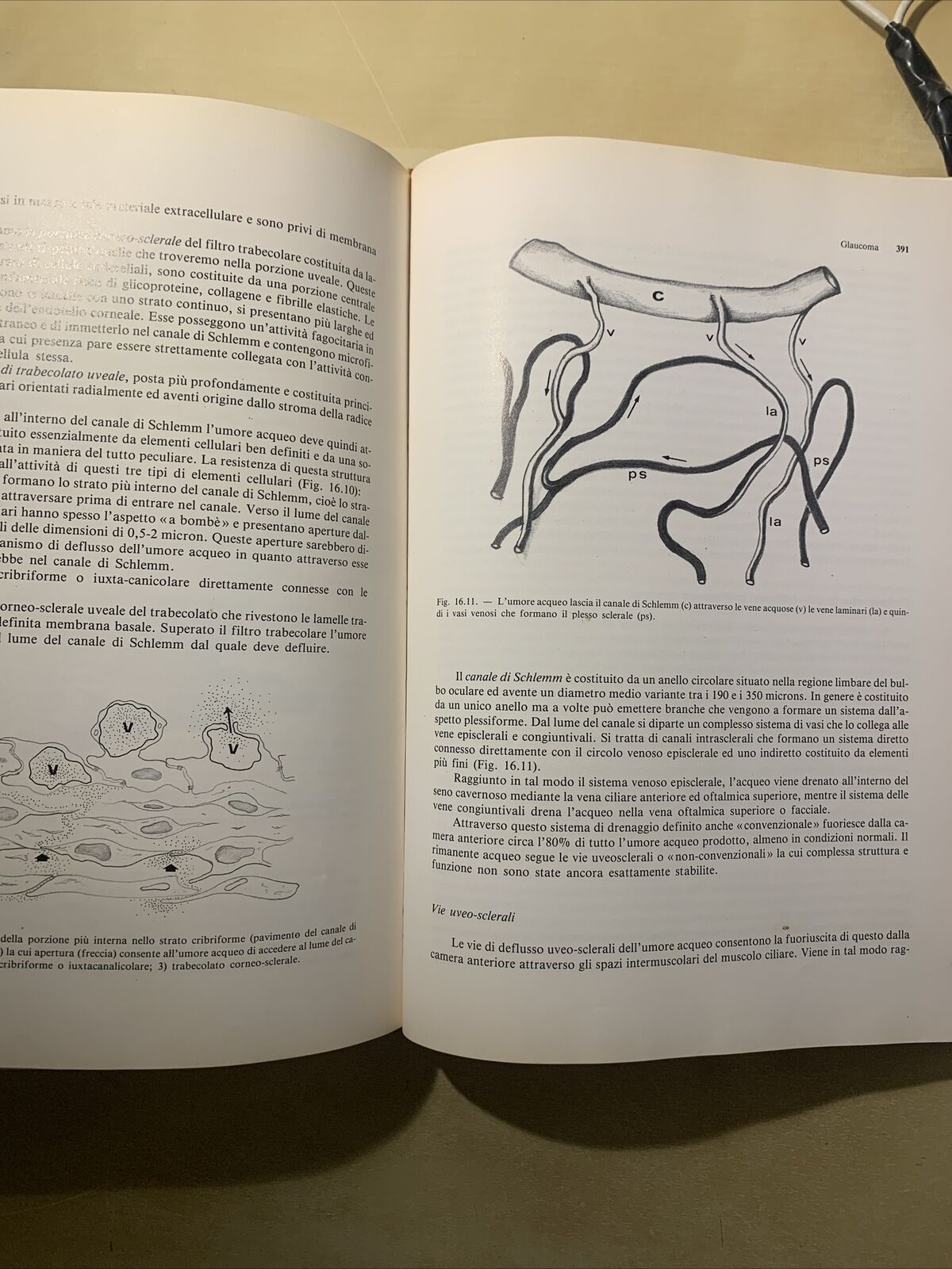 OFTALMOLOGIA - MASSIMO G. BUCCI. EDITRICE UNIVERSO 1993