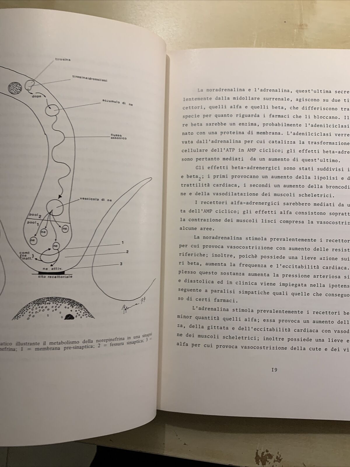 APPUNTI DI NEUROFTALMOLOGIA - PATOLOGIA DEL SISTEMA NERVOSO. F. CARTA 1977 #