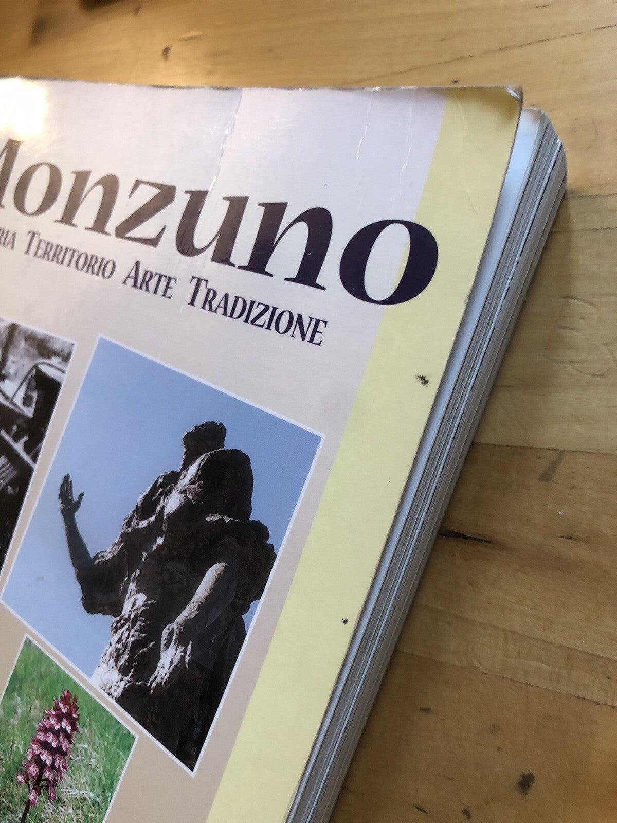 Monzuno - Storia Territorio Arte Tradizione 1999