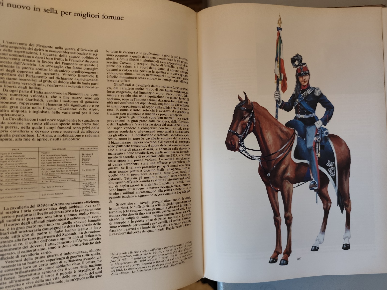 Caricat storia dell'arma di cavalleria, L'esercito e suoi corpi Stato Maggiore