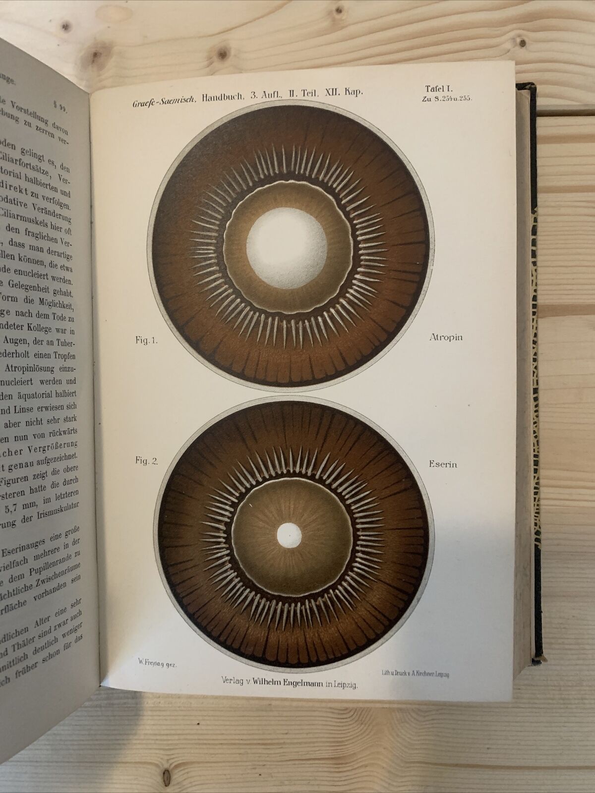 graeffe saemisch handbuch der gesamen augenheilkunde 1910 #